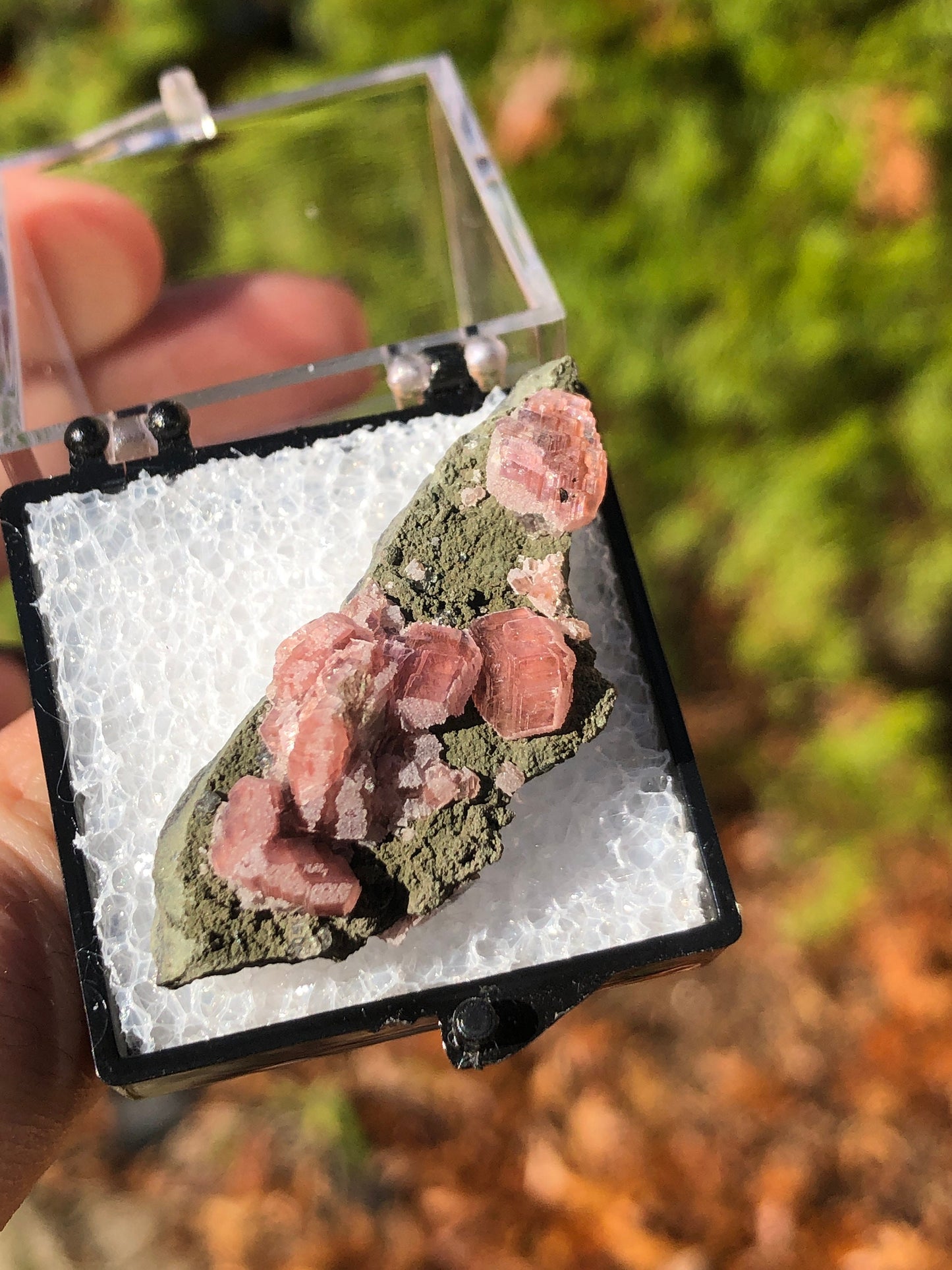 Rhodochrosite on Matrix from Mexico