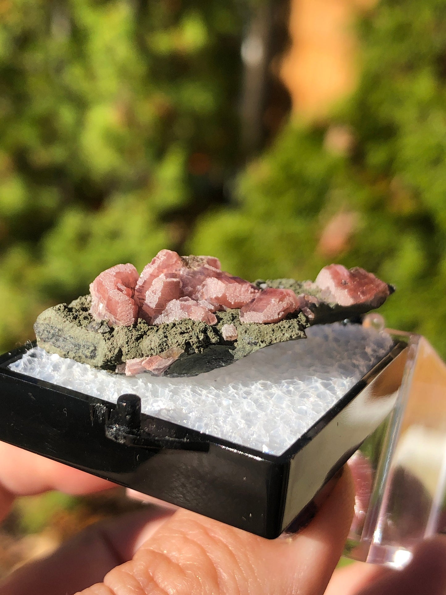 Rhodochrosite on Matrix from Mexico
