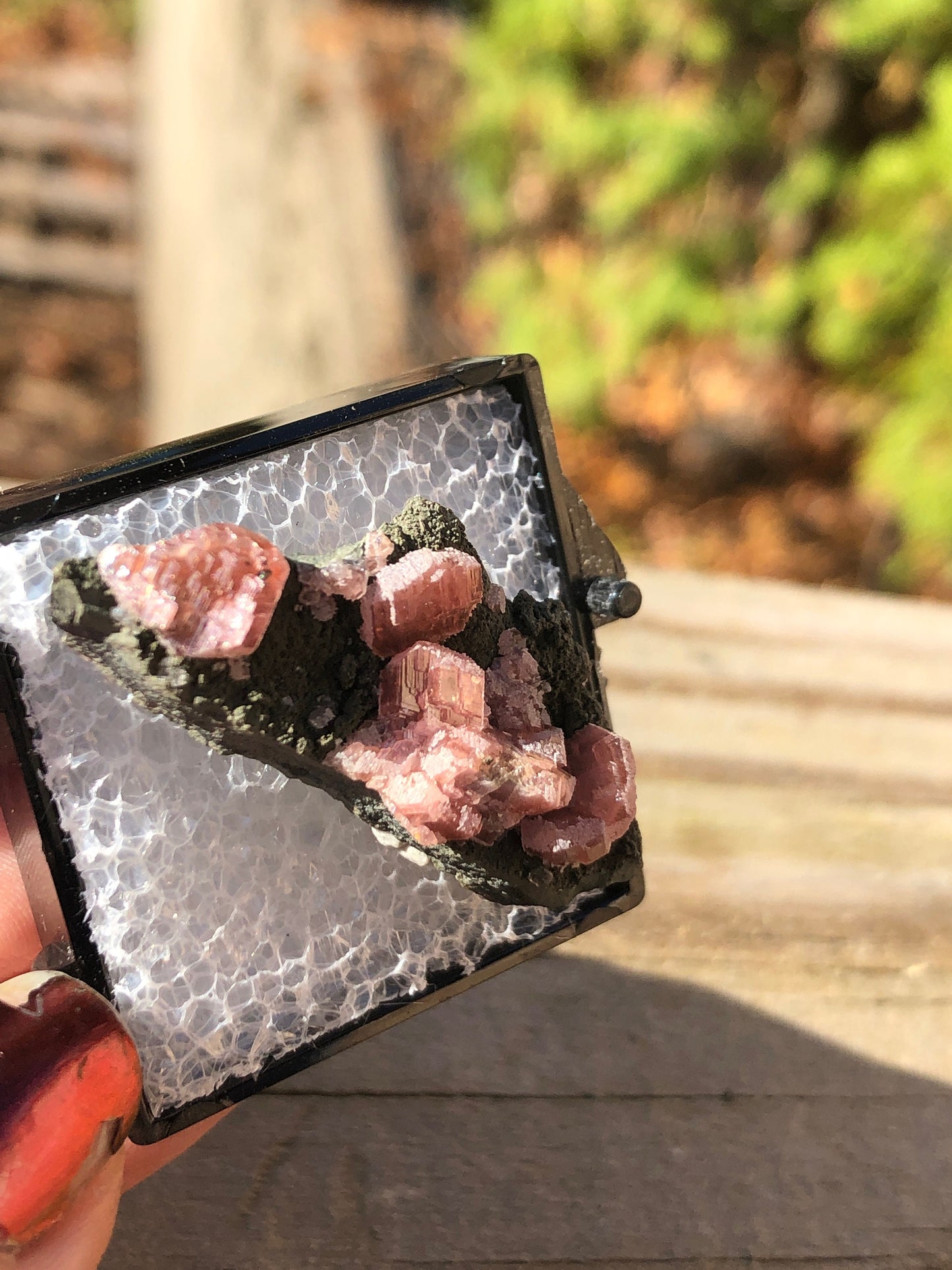 Rhodochrosite on Matrix from Mexico
