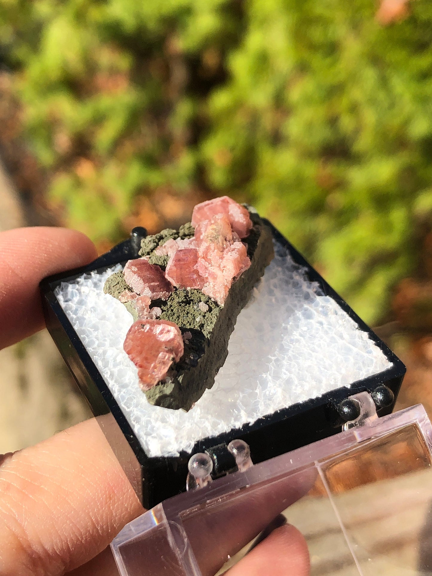 Rhodochrosite on Matrix from Mexico