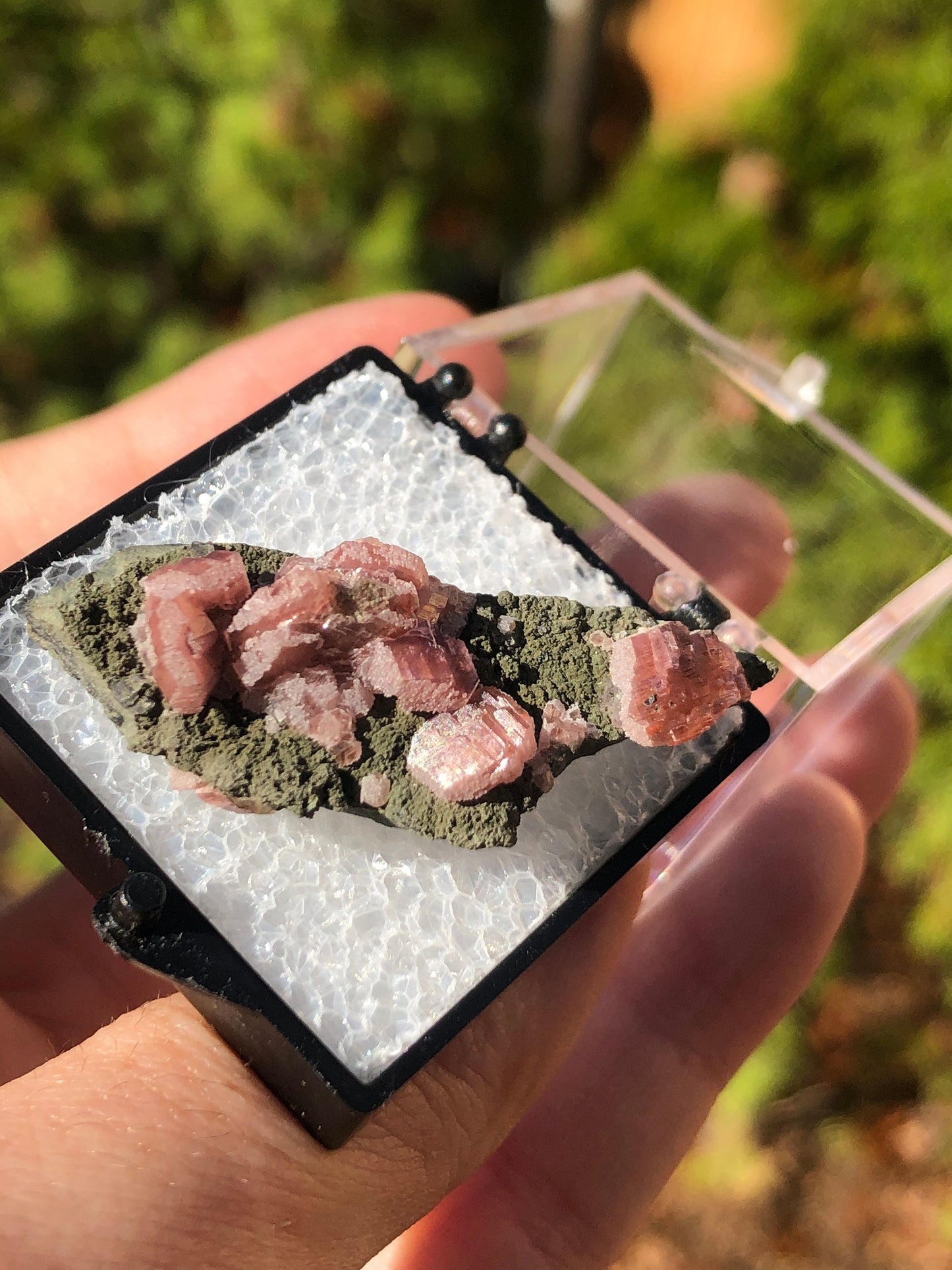Rhodochrosite on Matrix from Mexico