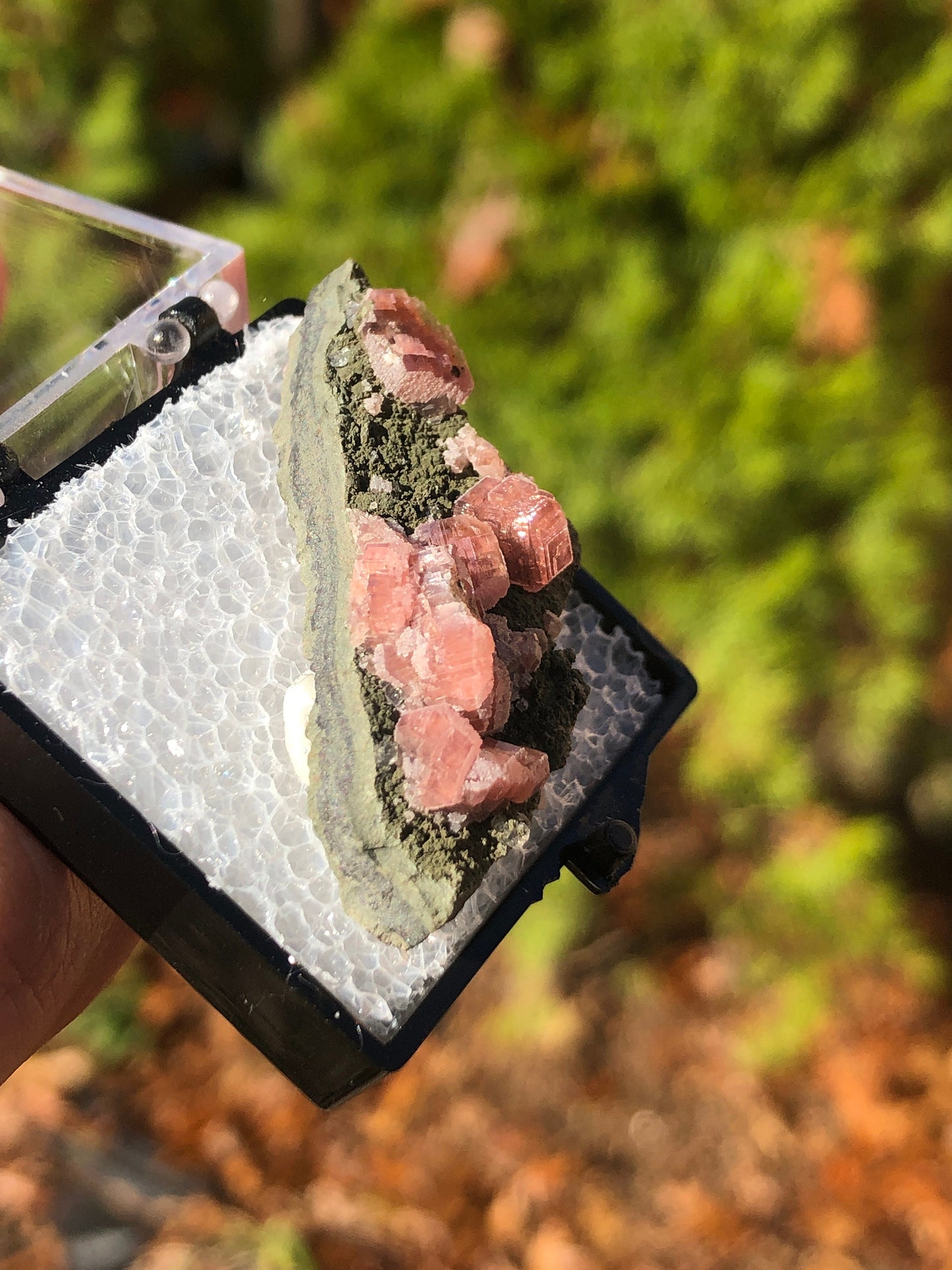 Rhodochrosite on Matrix from Mexico