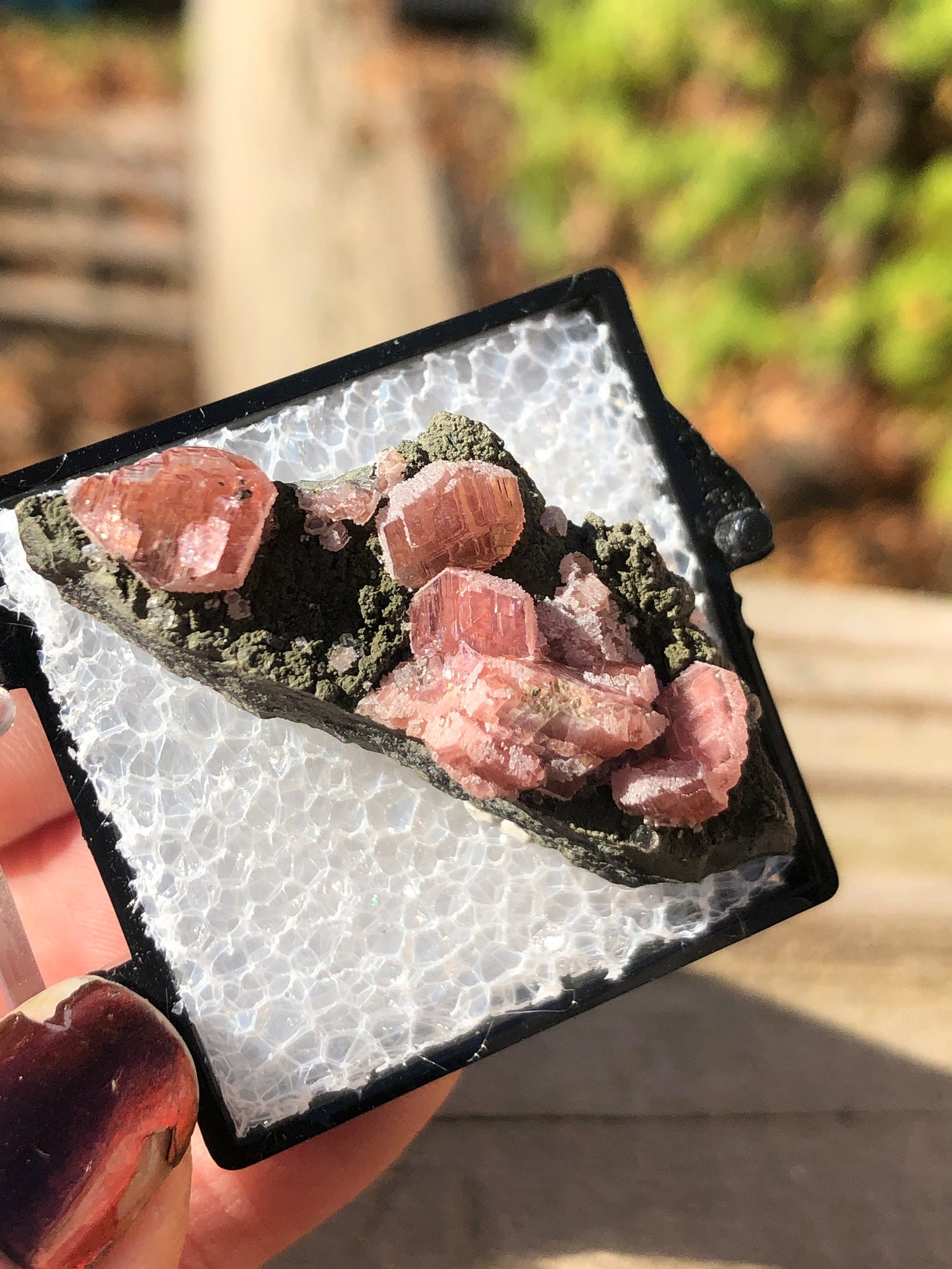 Rhodochrosite on Matrix from Mexico