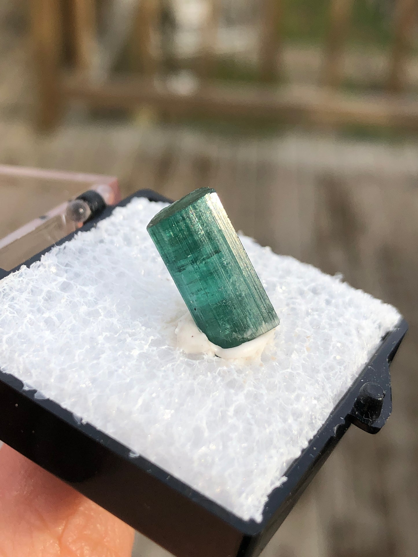 Greenish Blue Tourmaline Crystal from Brazil