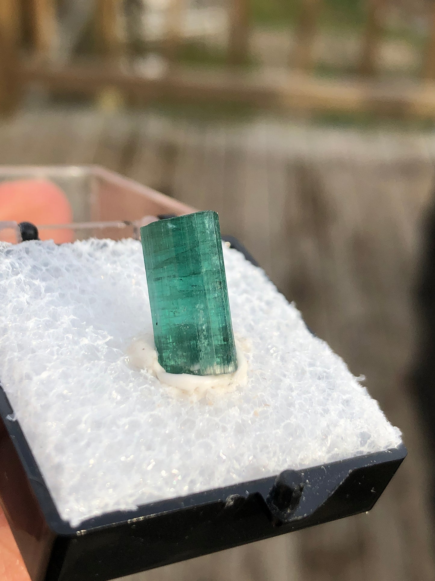 Greenish Blue Tourmaline Crystal from Brazil