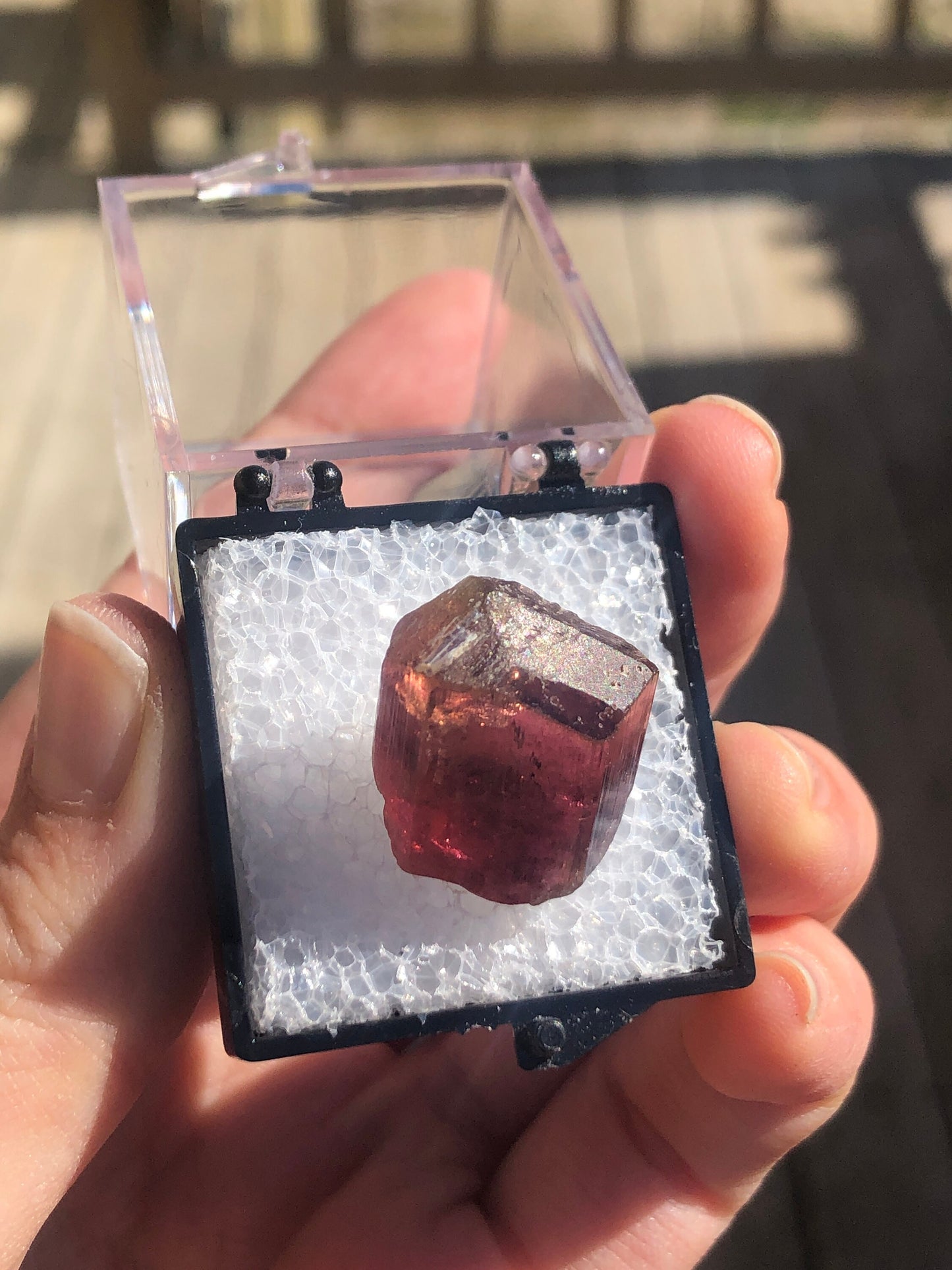 Rubellite Tourmaline Crystal from Brazil