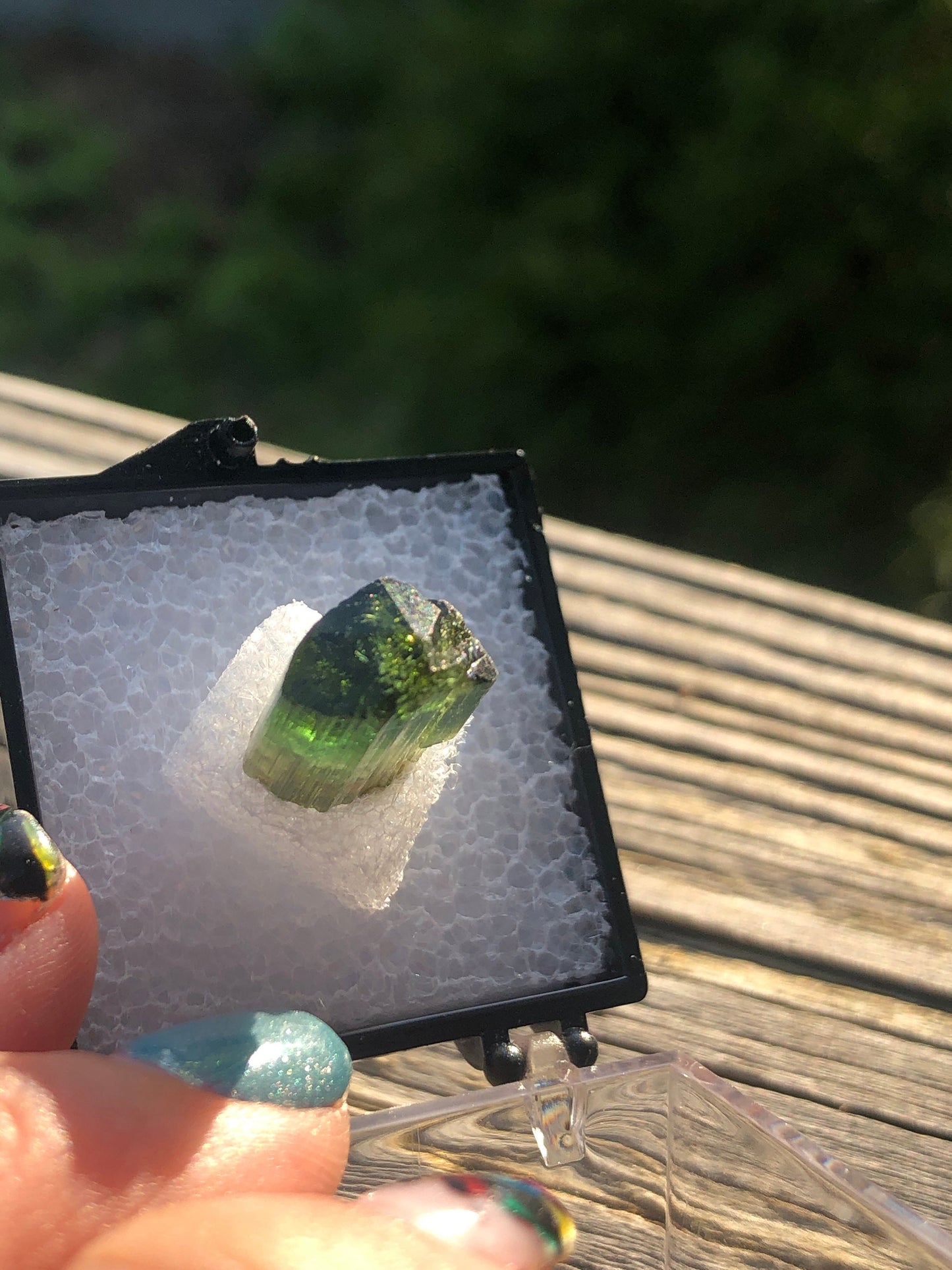 Elbaite Tourmaline Crystal from Barra Do Salinas Brazil