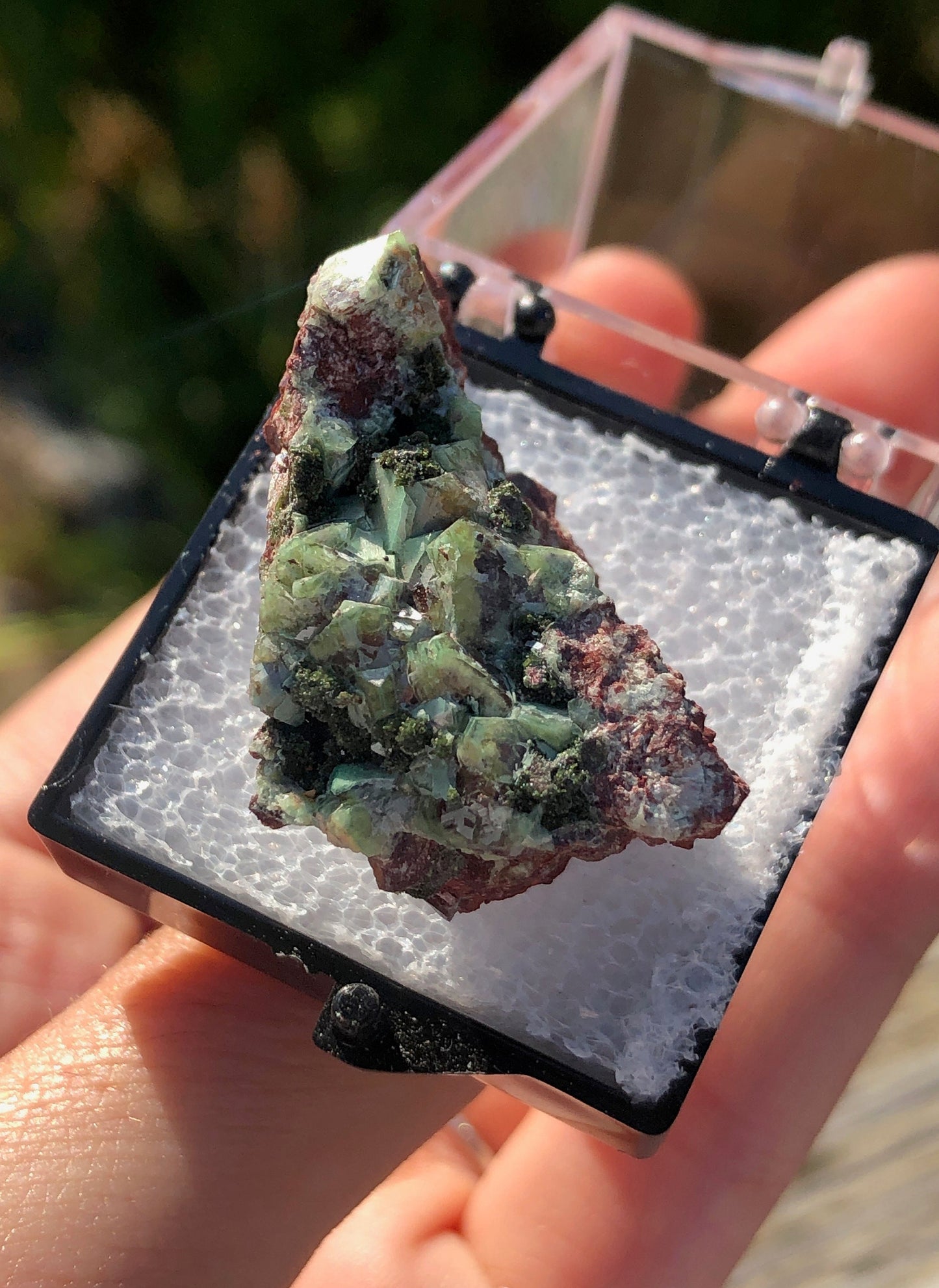 Zincolivenite from Tsumeb Namibia
