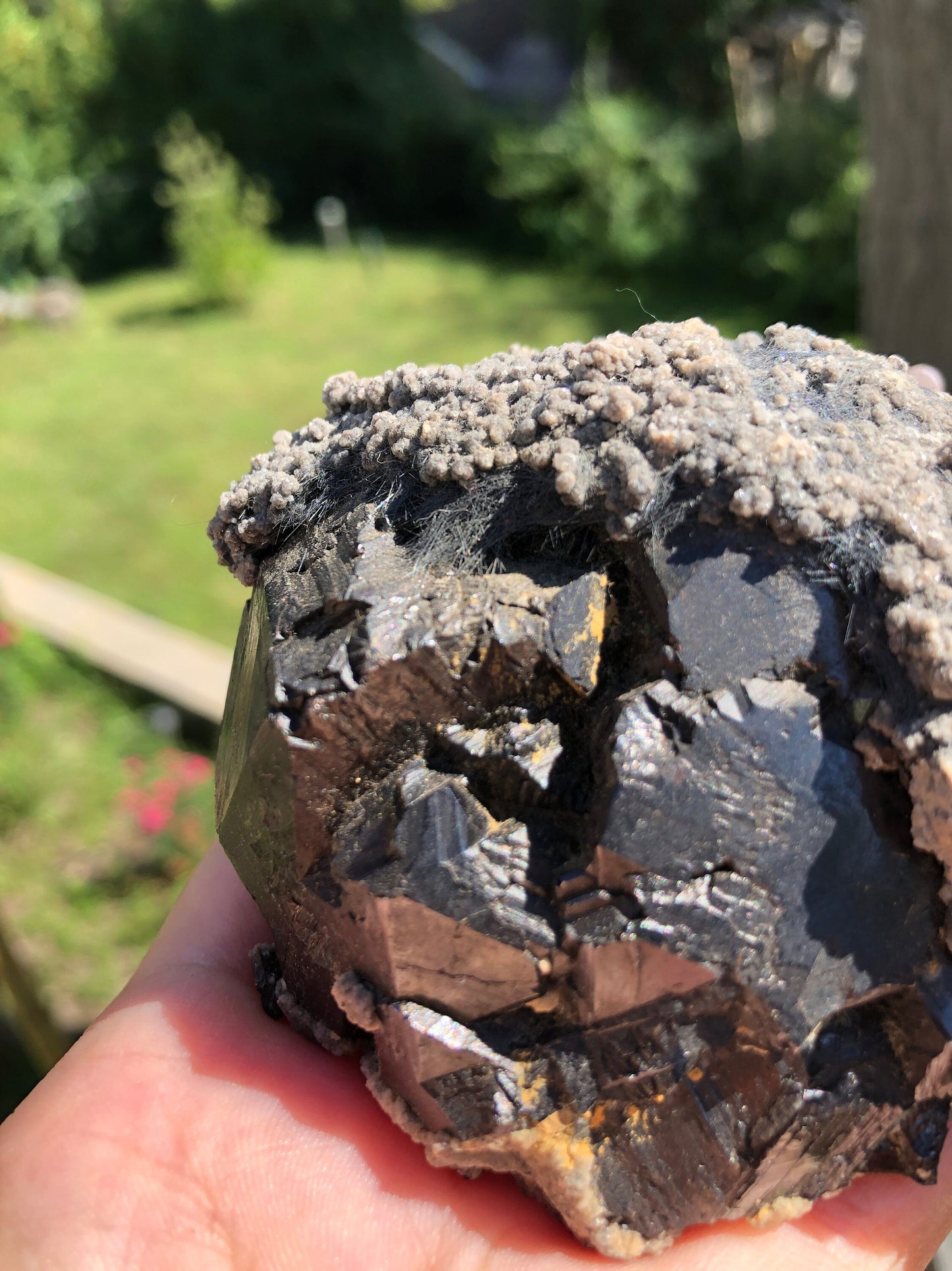 Cabinet Boulangerite on Sphalerite from Buena Noche Mine Mexico