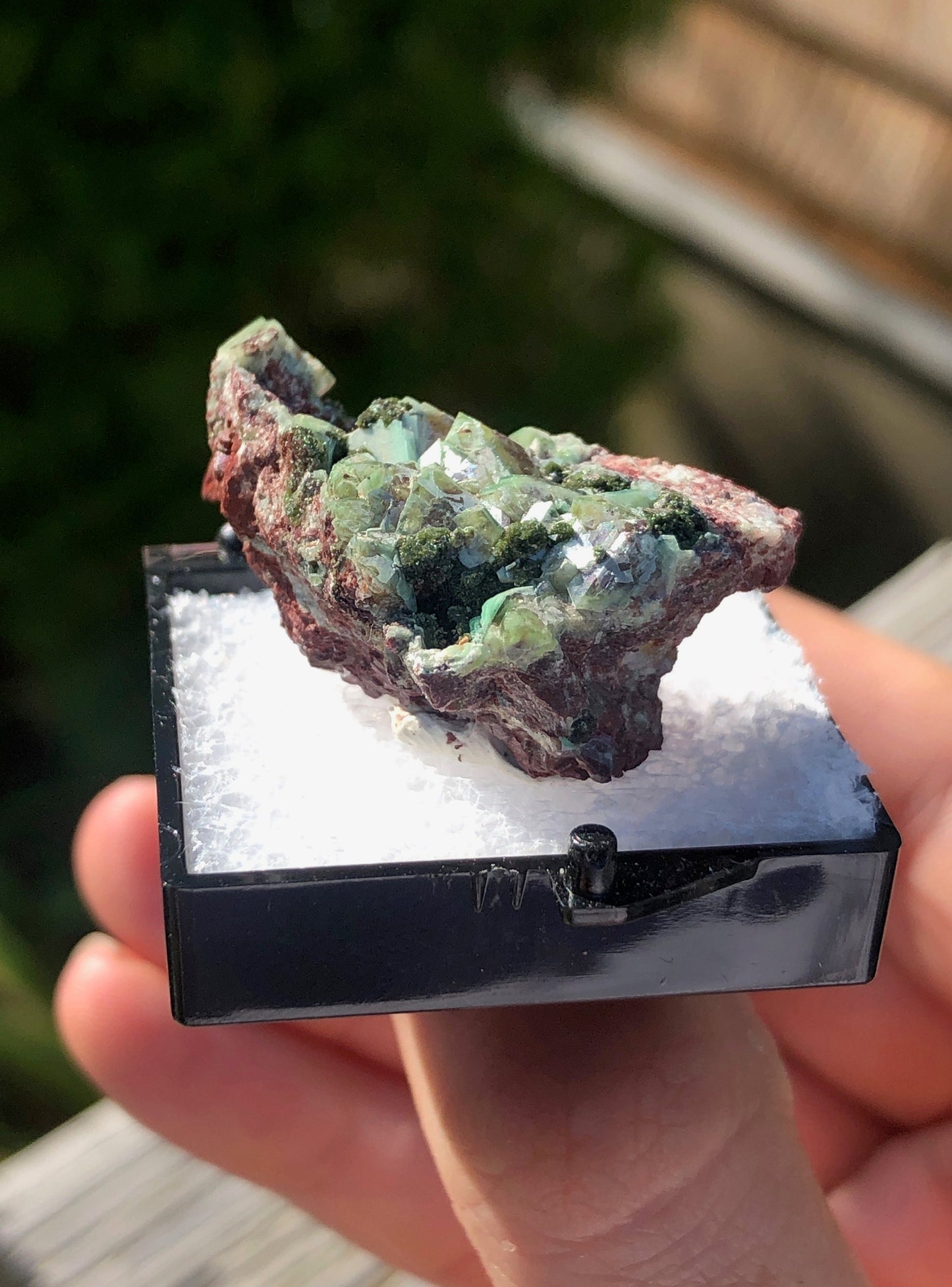 Zincolivenite from Tsumeb Namibia