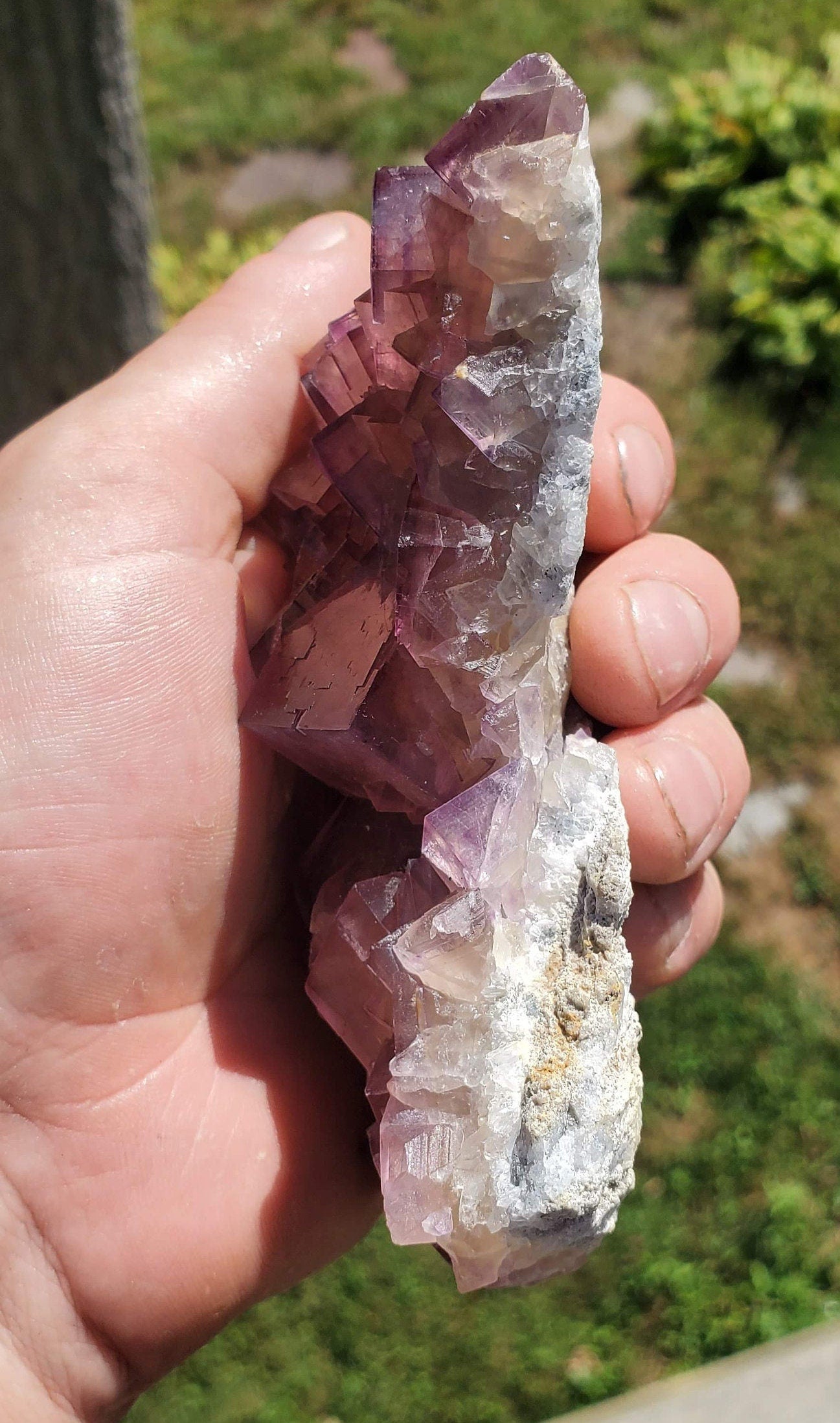 Window Fluorite with Pyrite from Yaogangxian mine, China