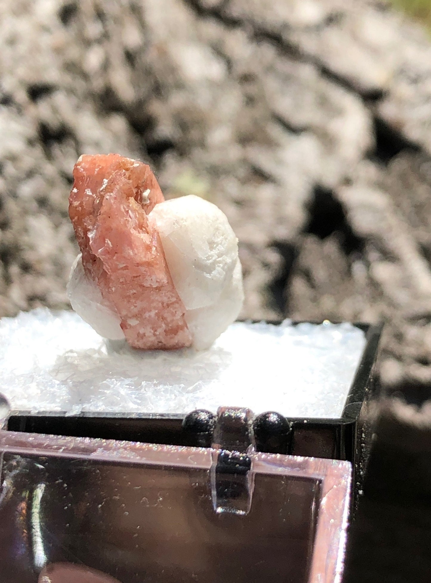 Serandite with Analcime from Canada