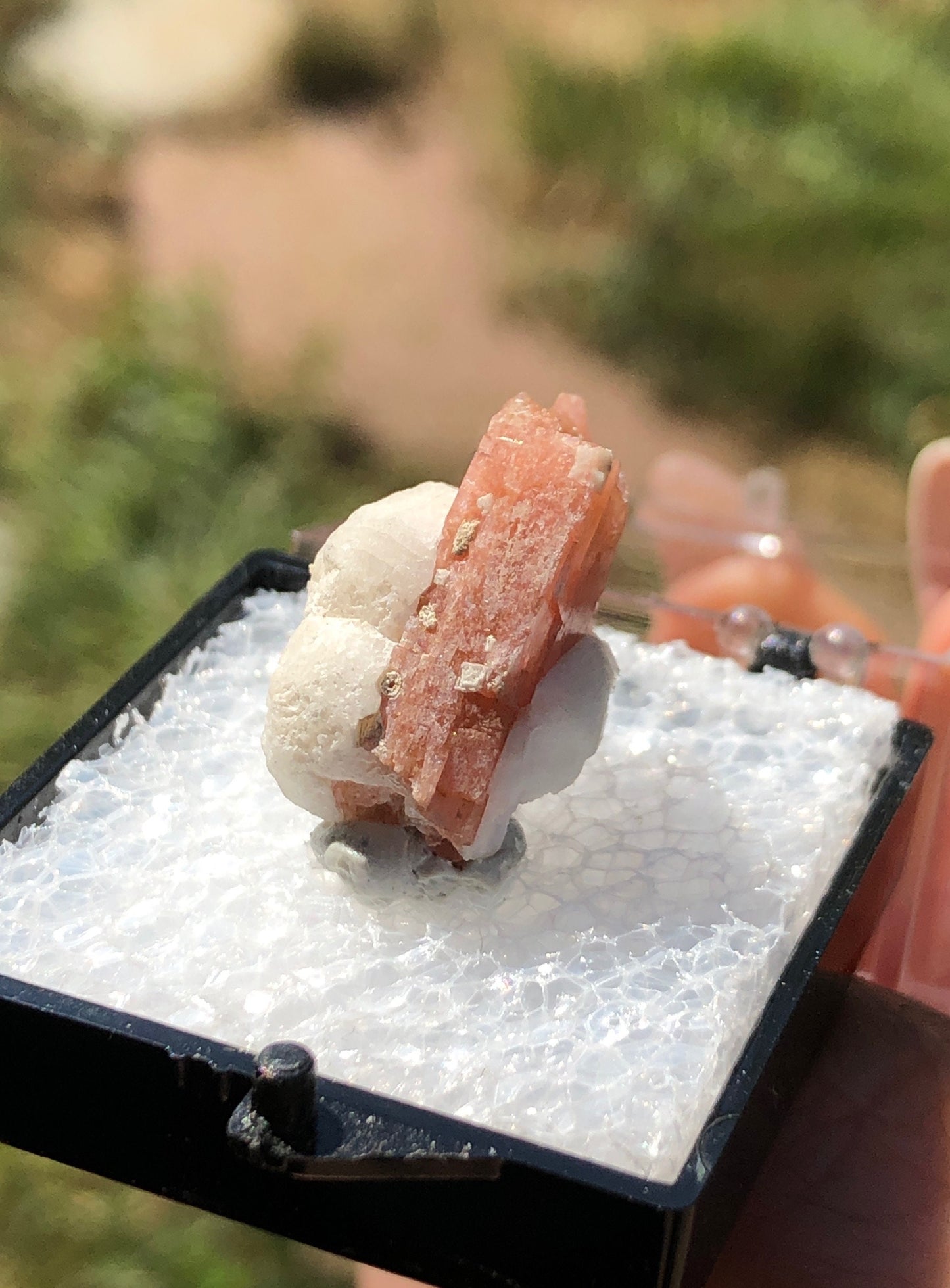 Serandite with Analcime from Canada