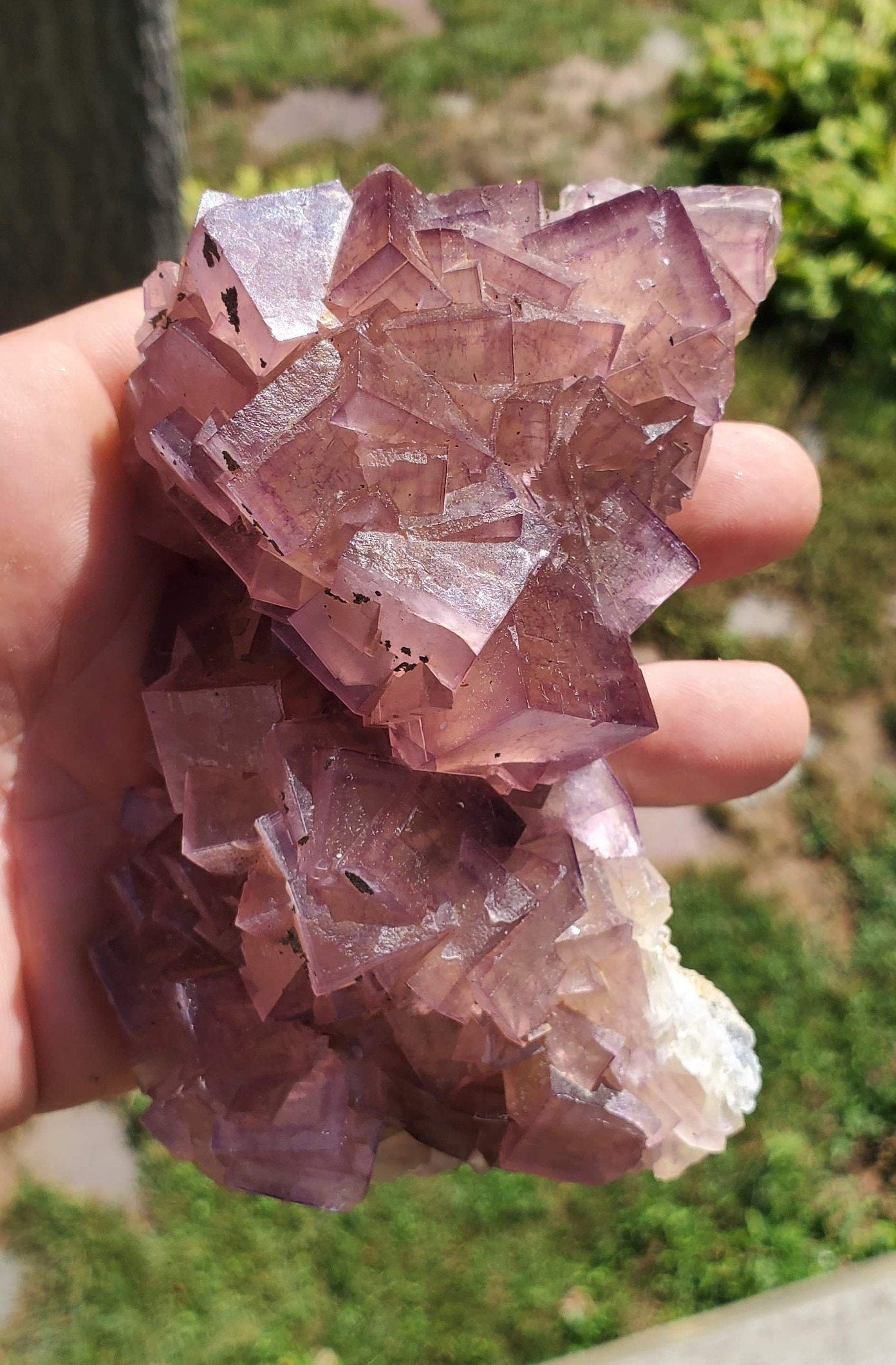 Window Fluorite with Pyrite from Yaogangxian mine, China