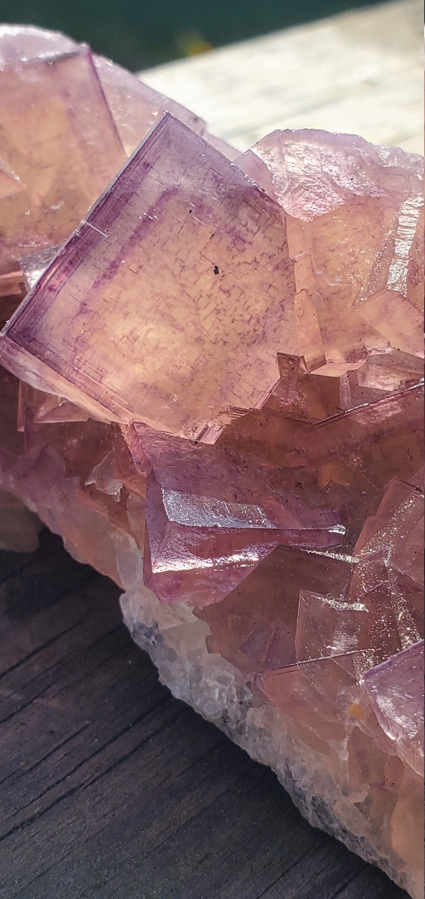 Window Fluorite with Pyrite from Yaogangxian mine, China