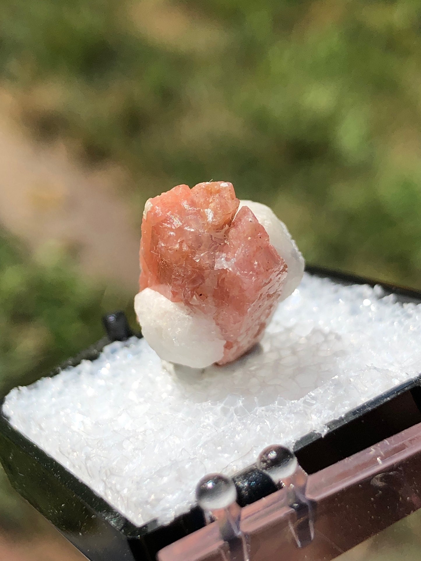 Serandite with Analcime from Canada