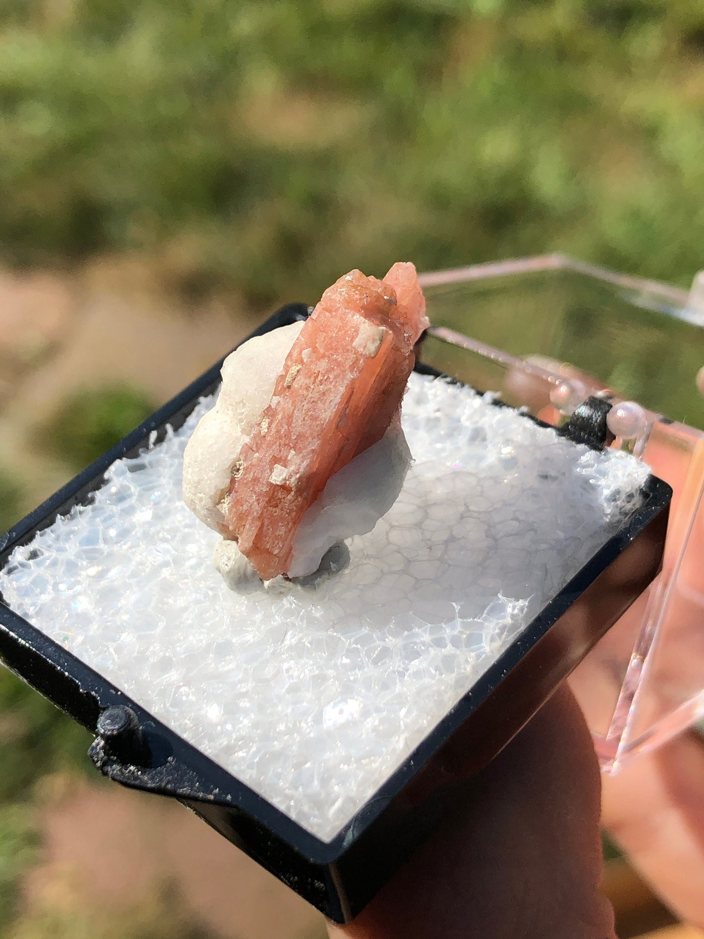 Serandite with Analcime from Canada