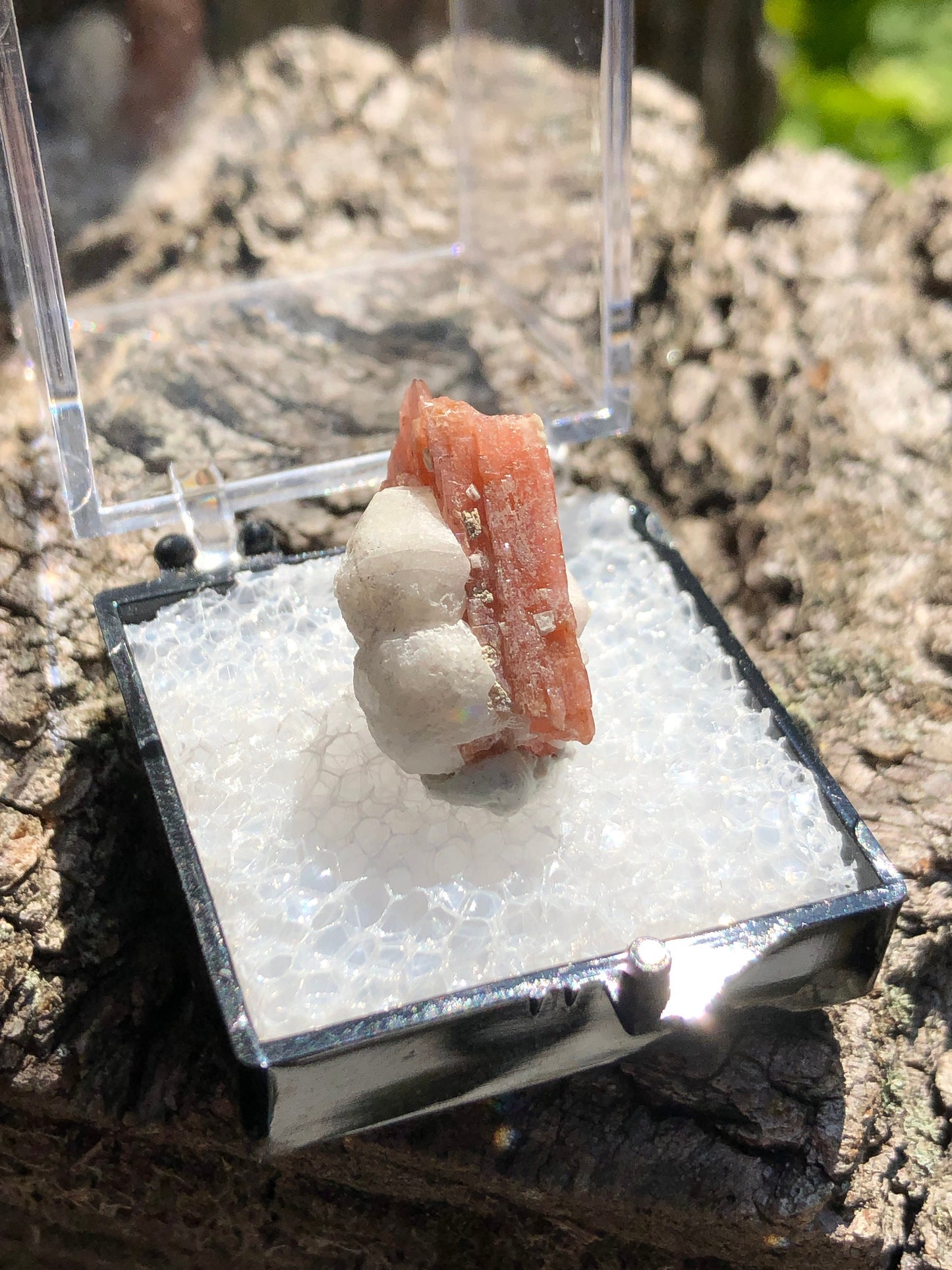 Serandite with Analcime from Canada