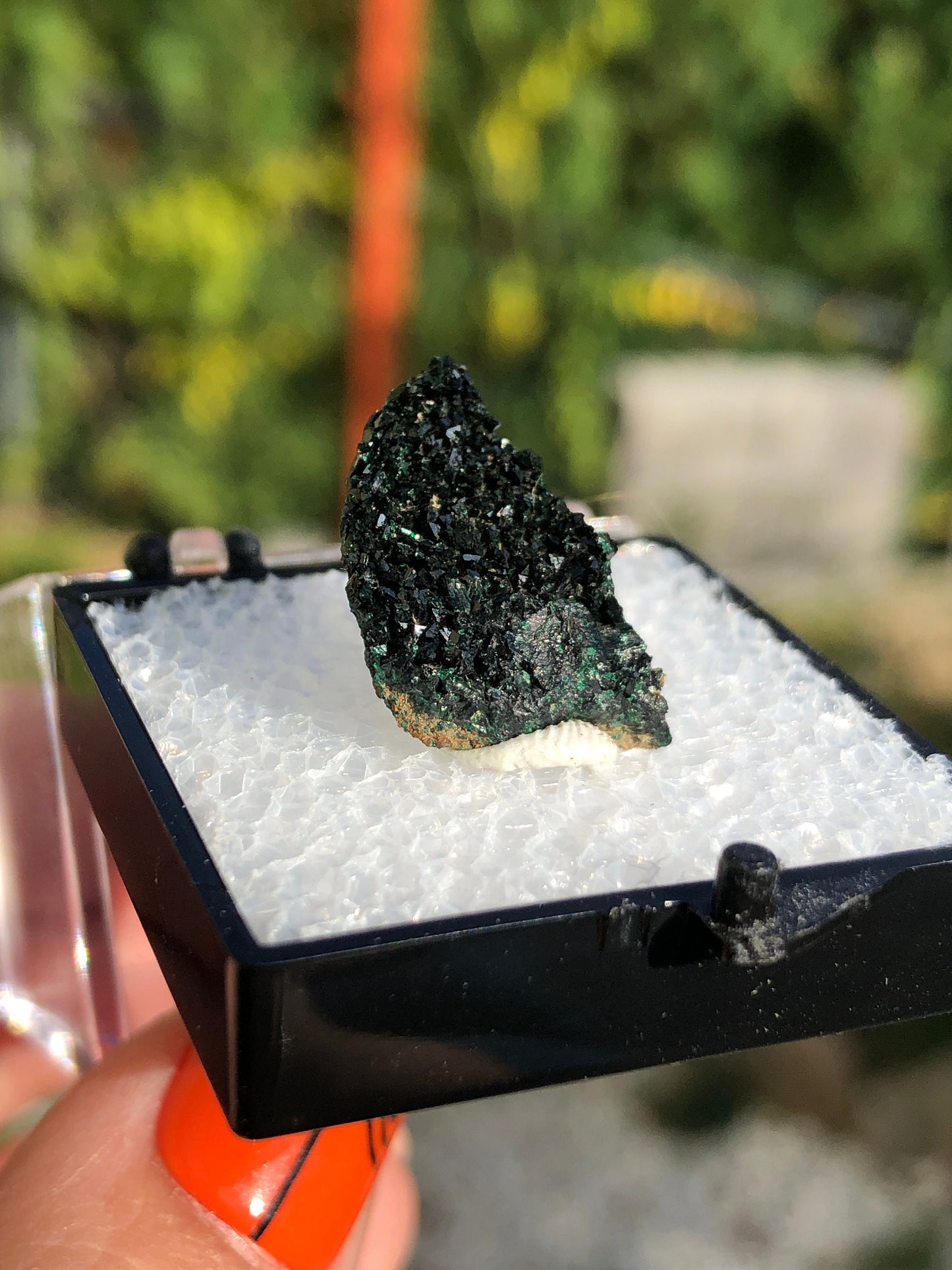 Olivenite Crystals from Tsumeb Mine Namibia