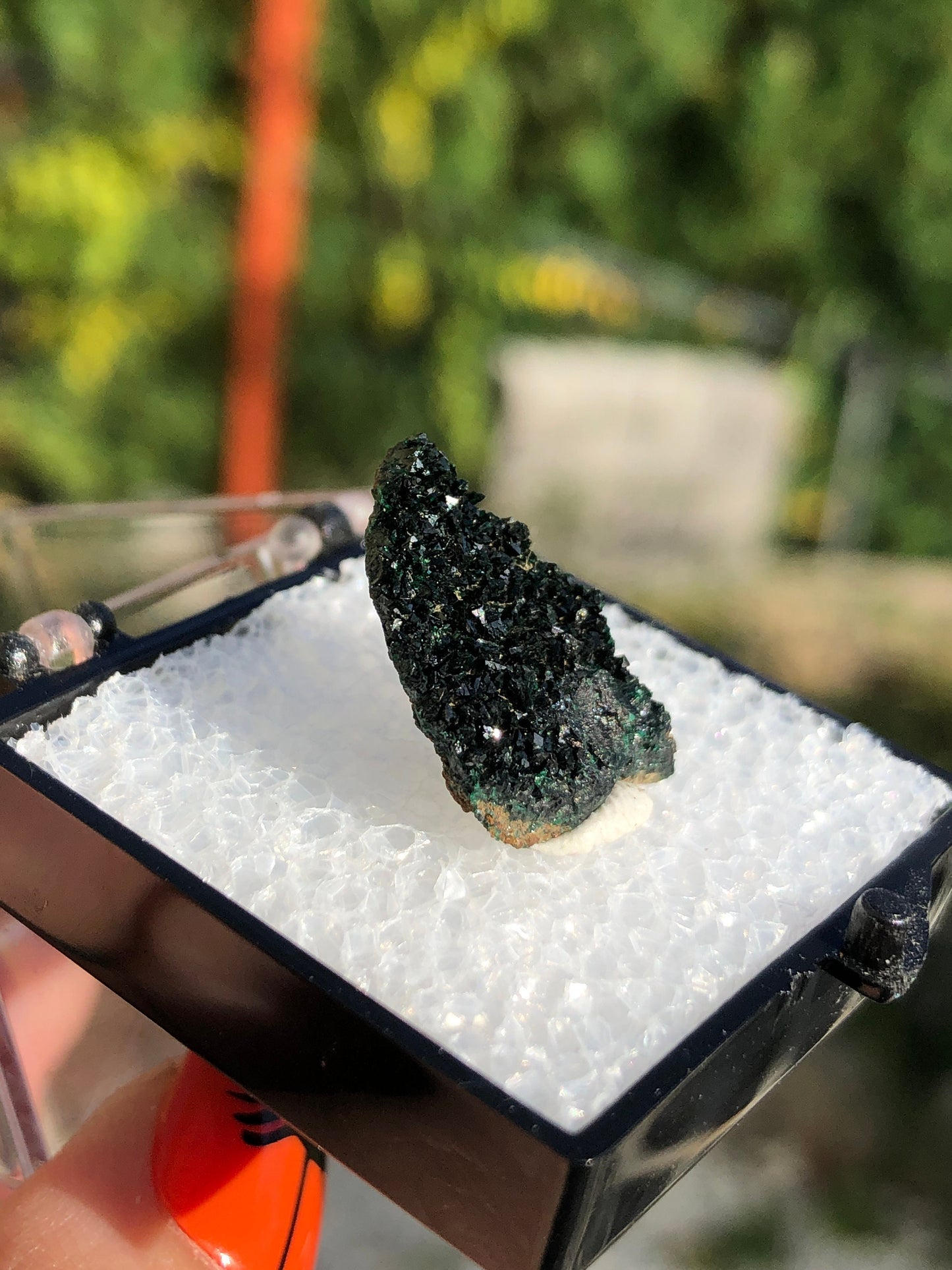Olivenite Crystals from Tsumeb Mine Namibia