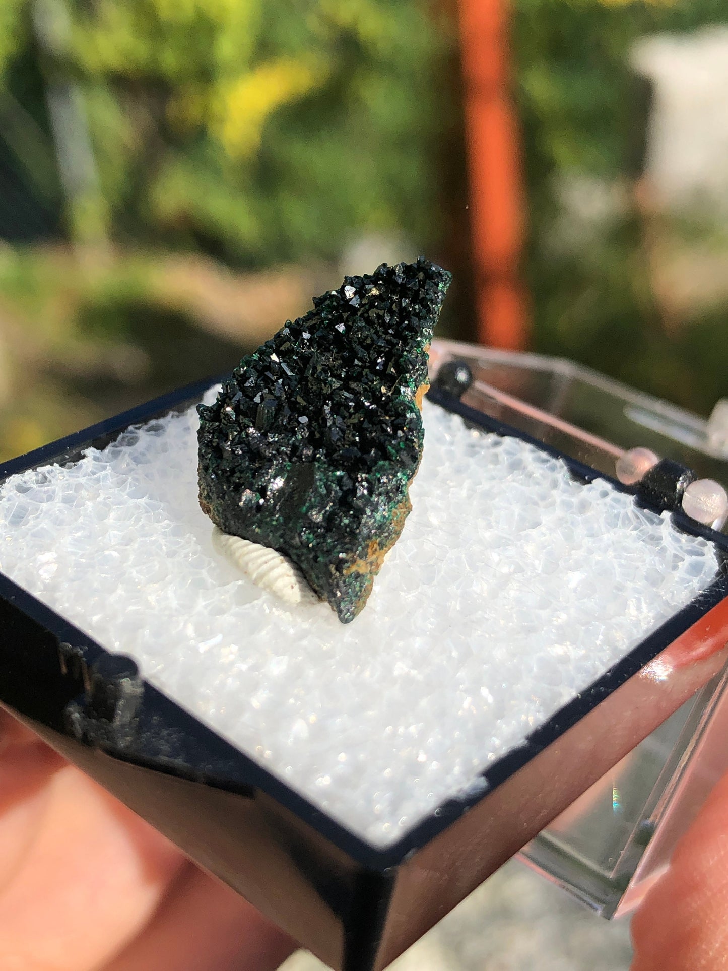 Olivenite Crystals from Tsumeb Mine Namibia