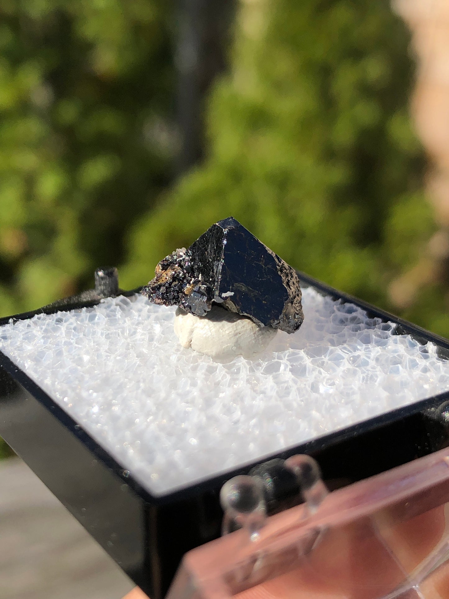 Rare Cafarsite Crystal from Type Locality in Switzerland