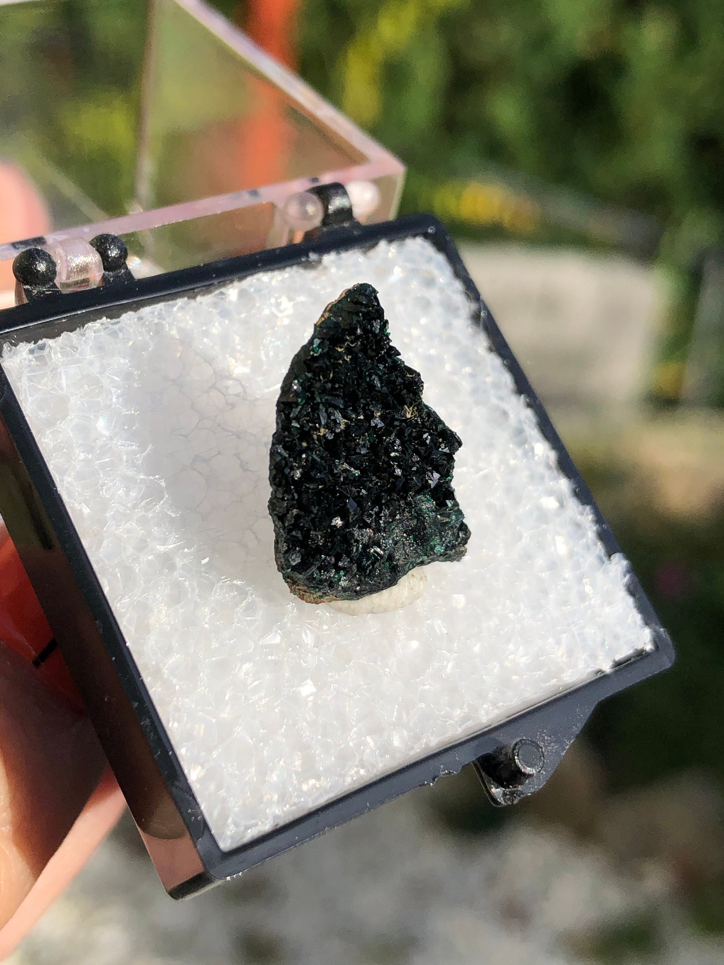 Olivenite Crystals from Tsumeb Mine Namibia