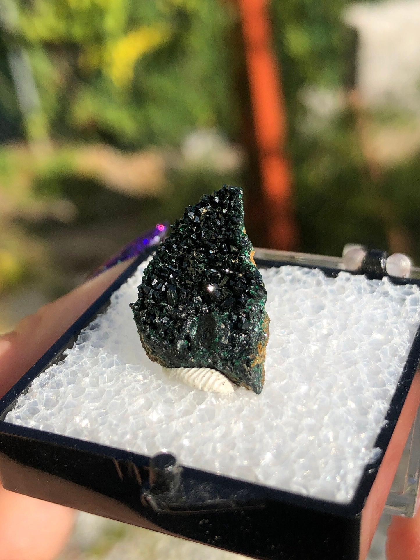 Olivenite Crystals from Tsumeb Mine Namibia