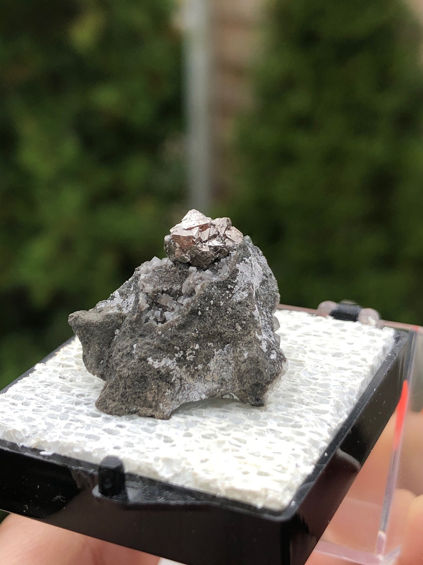 Old Collection Siegenite Cluster on Matrix from Buick Mine Missouri USA