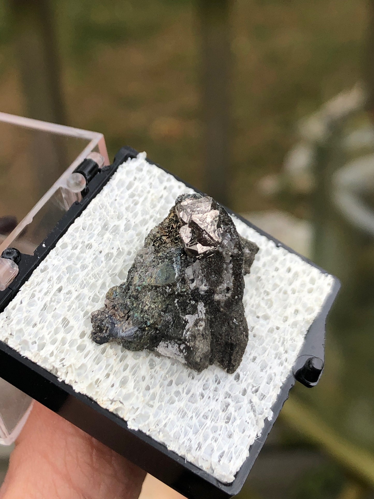 Old Collection Siegenite Cluster on Matrix from Buick Mine Missouri USA