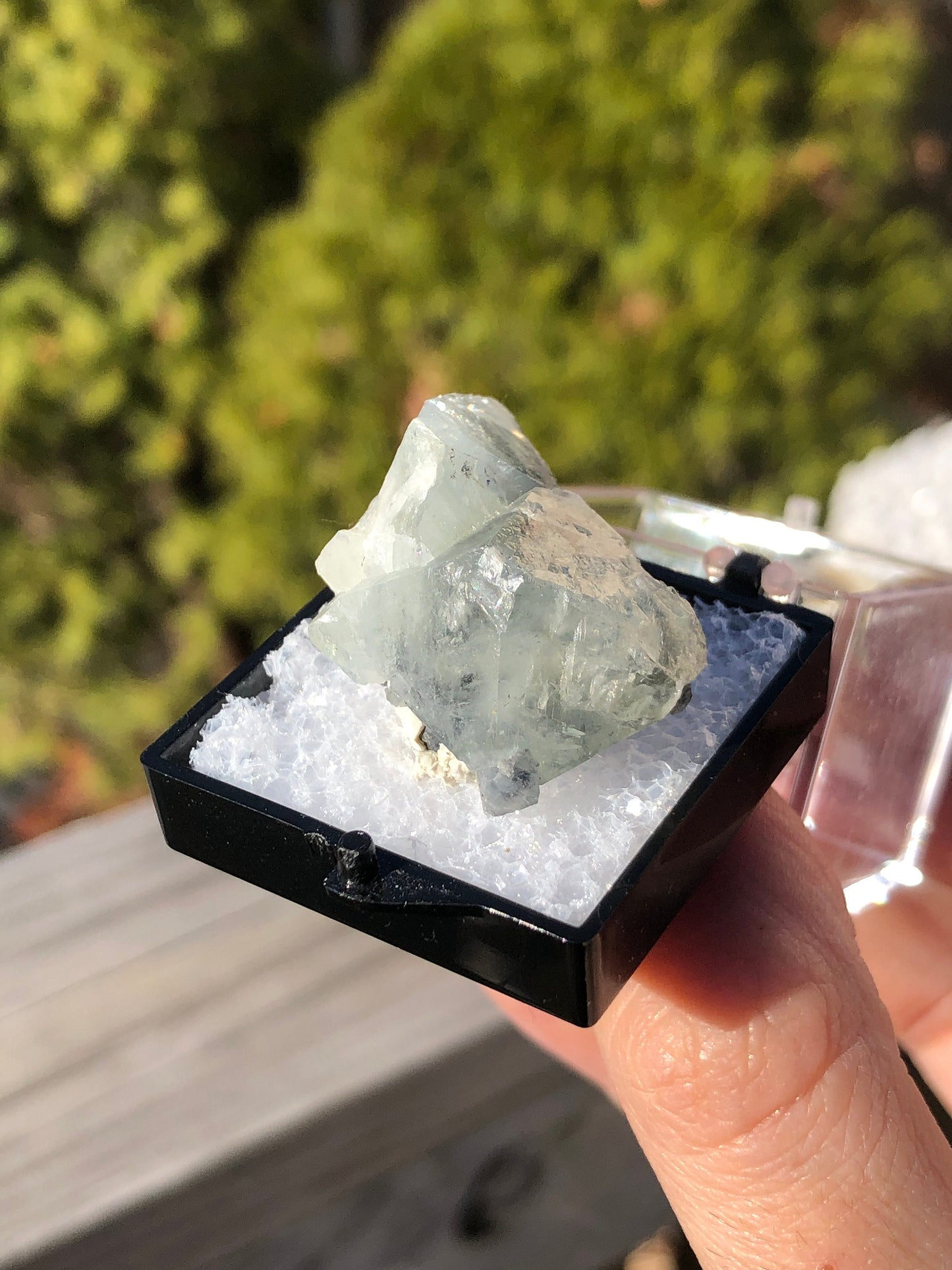 Rare Anglesite from Tsumeb Mine Namibia