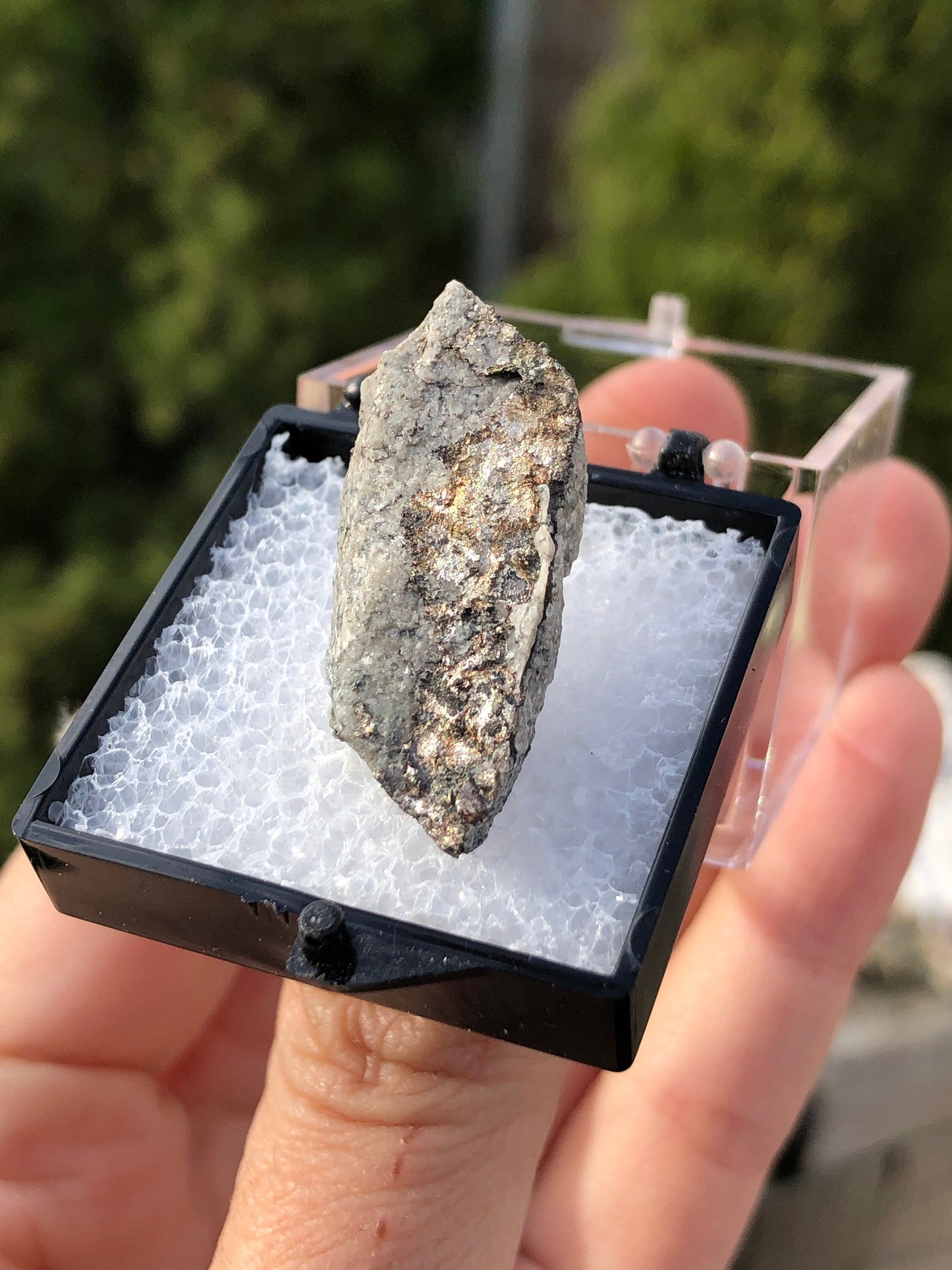 Silver on Matrix from Canada