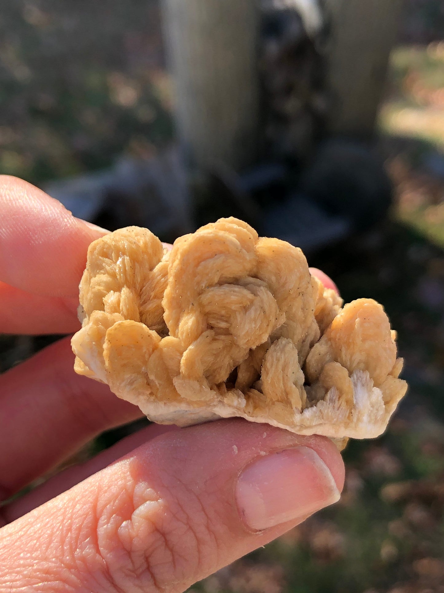 Pyrite on Barite from Rutyna's Pocket Poland
