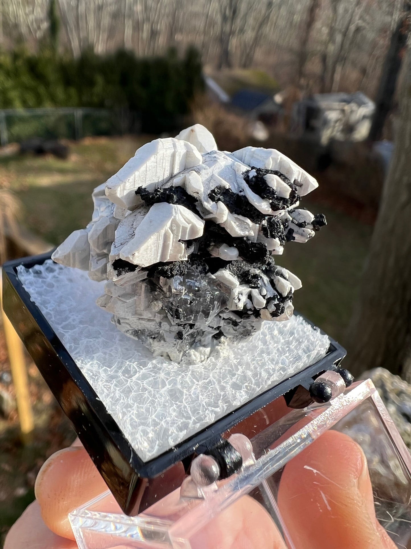 Reticulated Cerussite with Tennantite from Tsumeb Mine Namibia