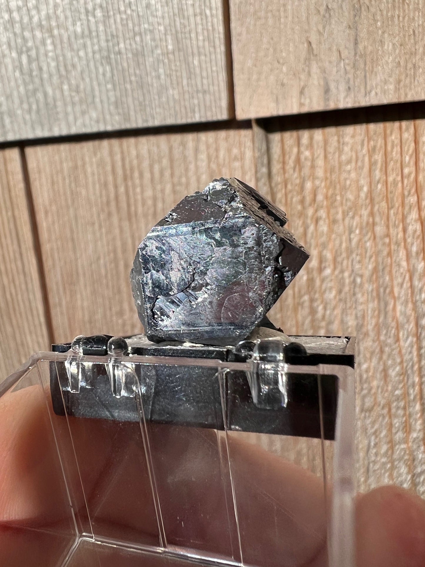 Sphalerite on Galena from Elmwood Mine Tennessee