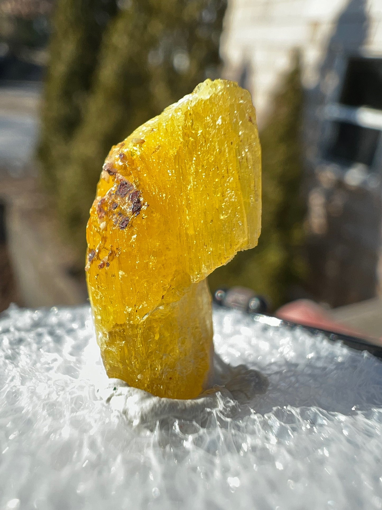Rare Legrandite Crystal from Ojuela Mine Mexico