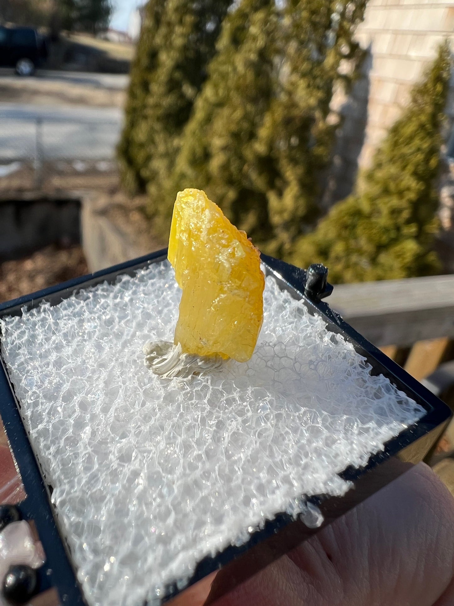 Rare Legrandite Crystal from Ojuela Mine Mexico