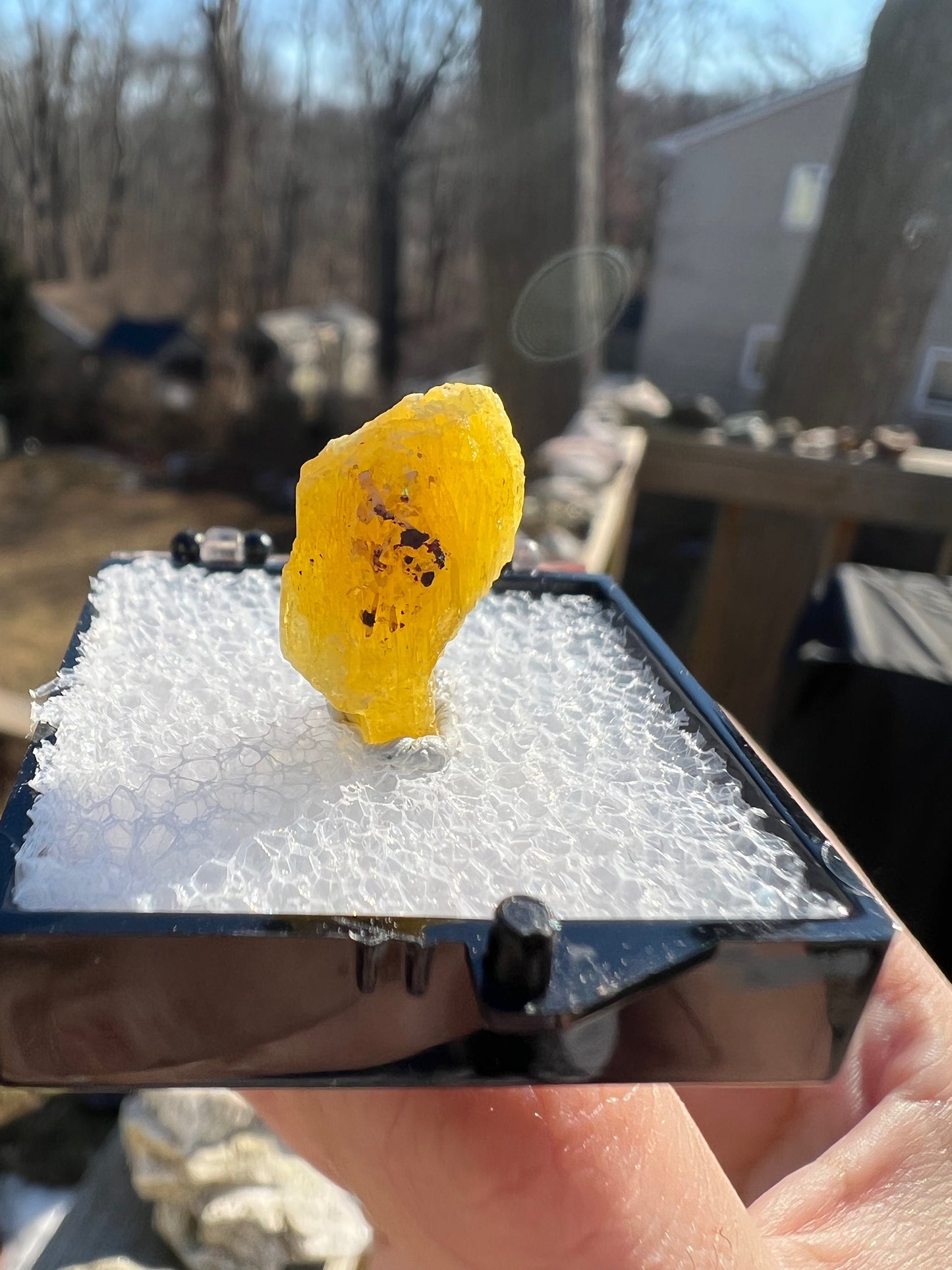 Rare Legrandite Crystal from Ojuela Mine Mexico
