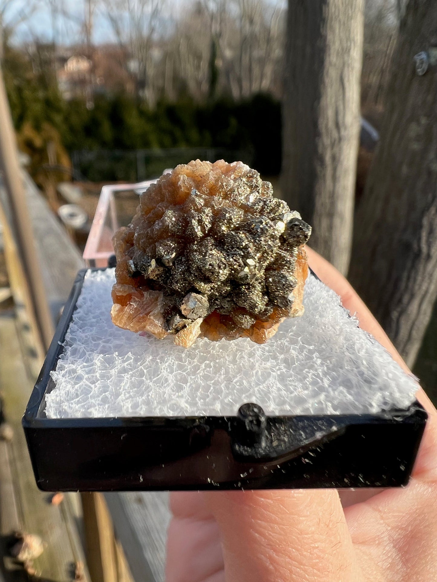 Pyrite on Orange Stilbite from New Jersey USA