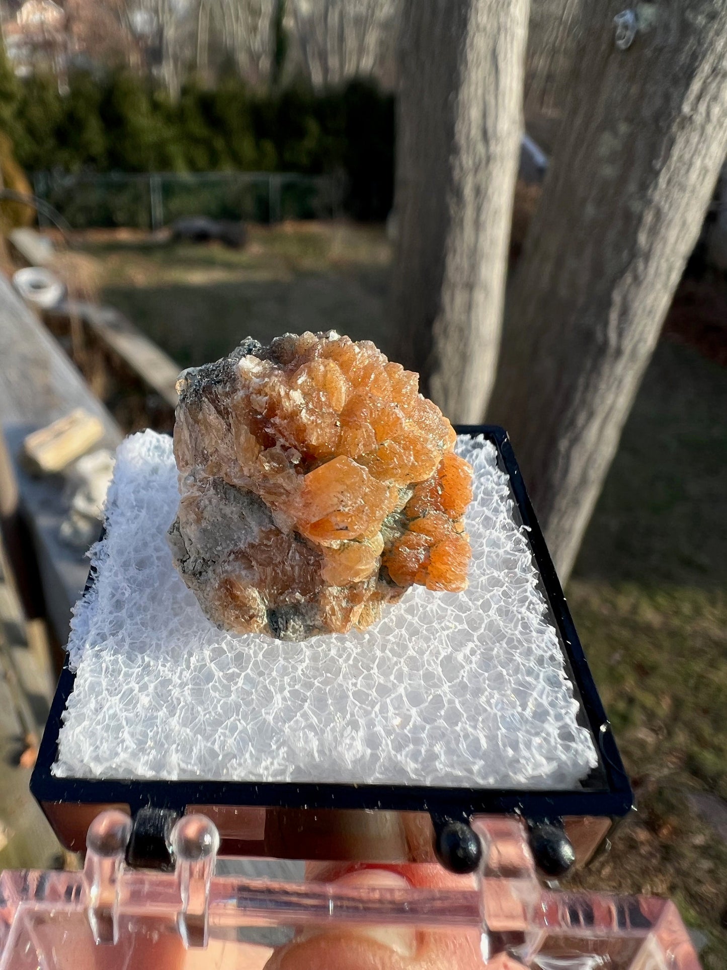 Pyrite on Orange Stilbite from New Jersey USA