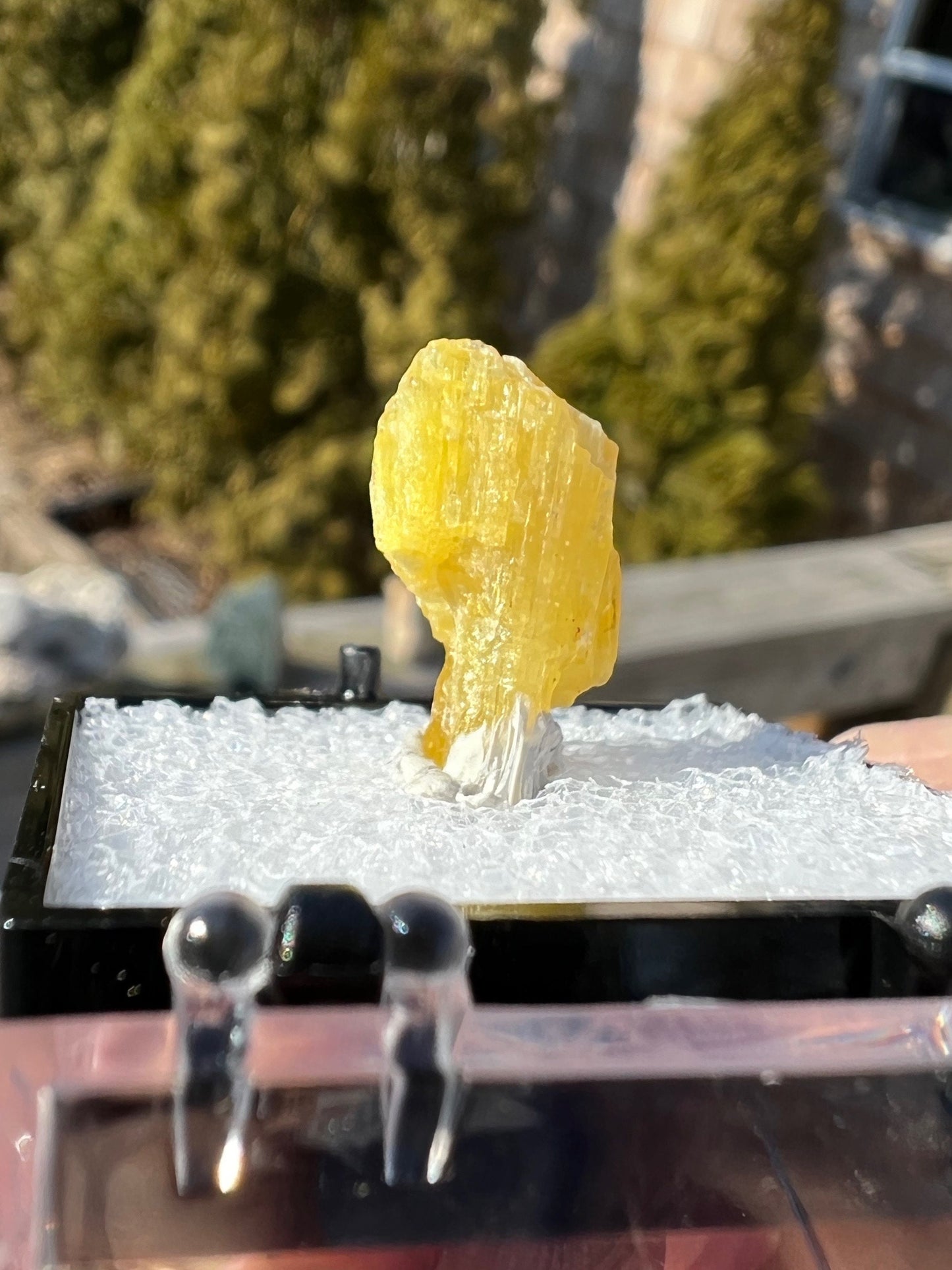 Rare Legrandite Crystal from Ojuela Mine Mexico