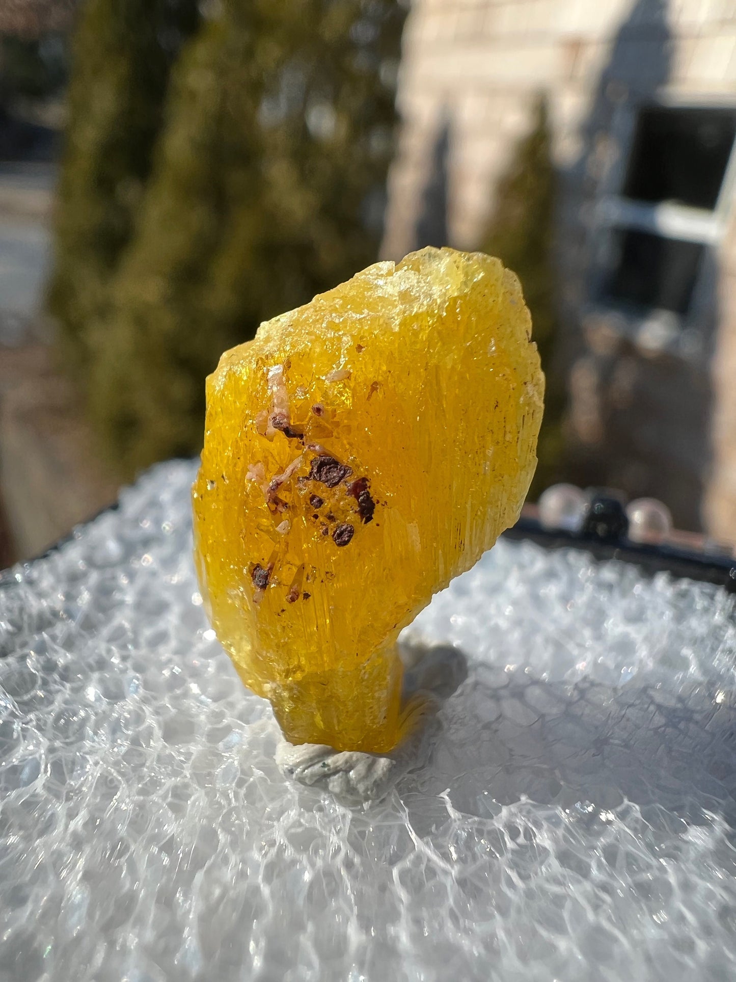 Rare Legrandite Crystal from Ojuela Mine Mexico