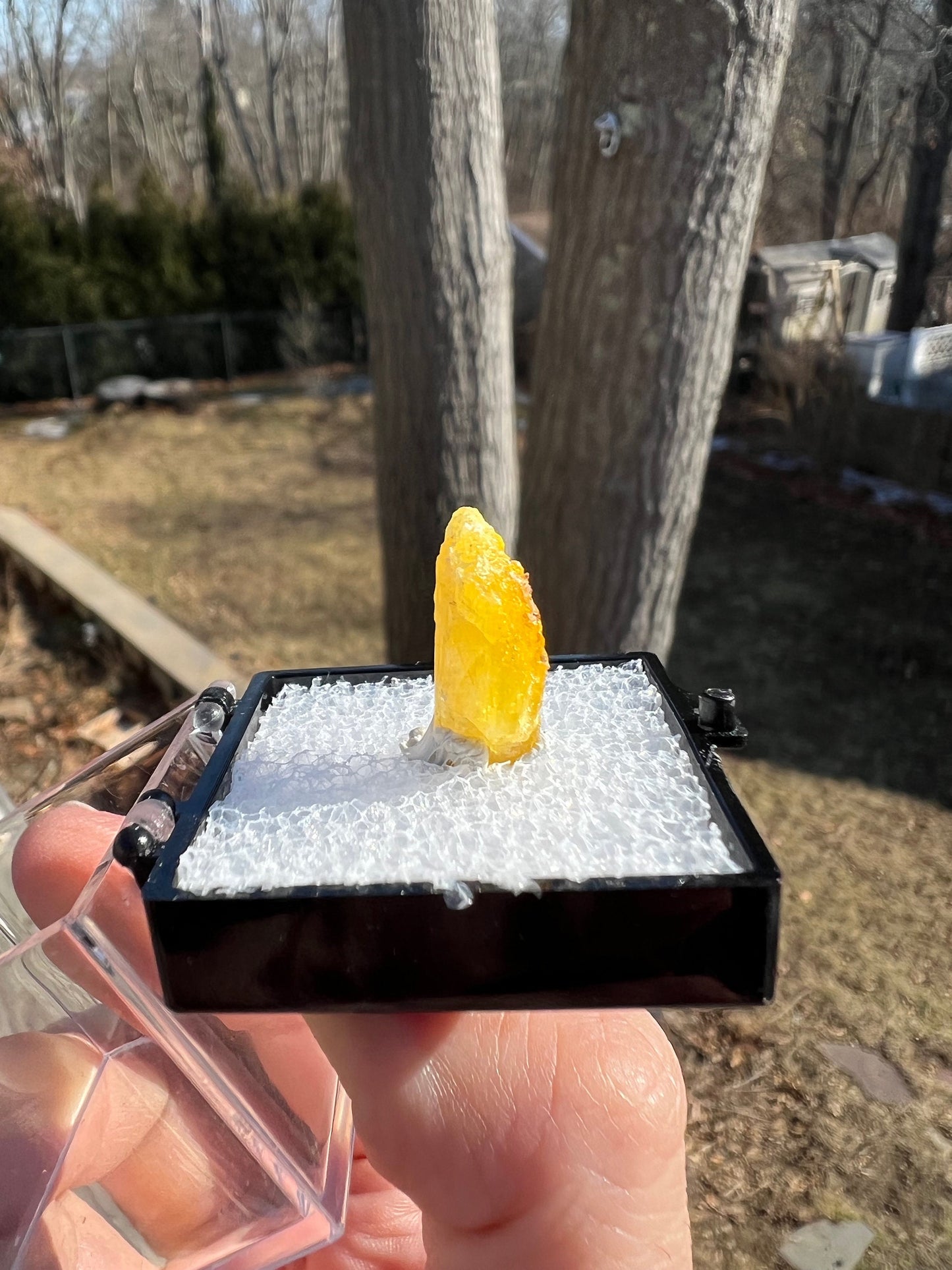 Rare Legrandite Crystal from Ojuela Mine Mexico