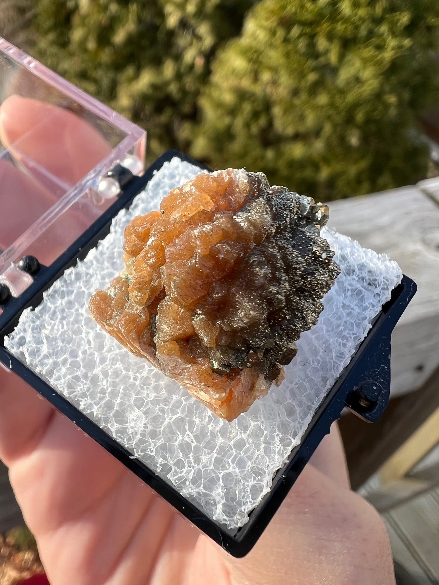 Pyrite on Orange Stilbite from New Jersey USA