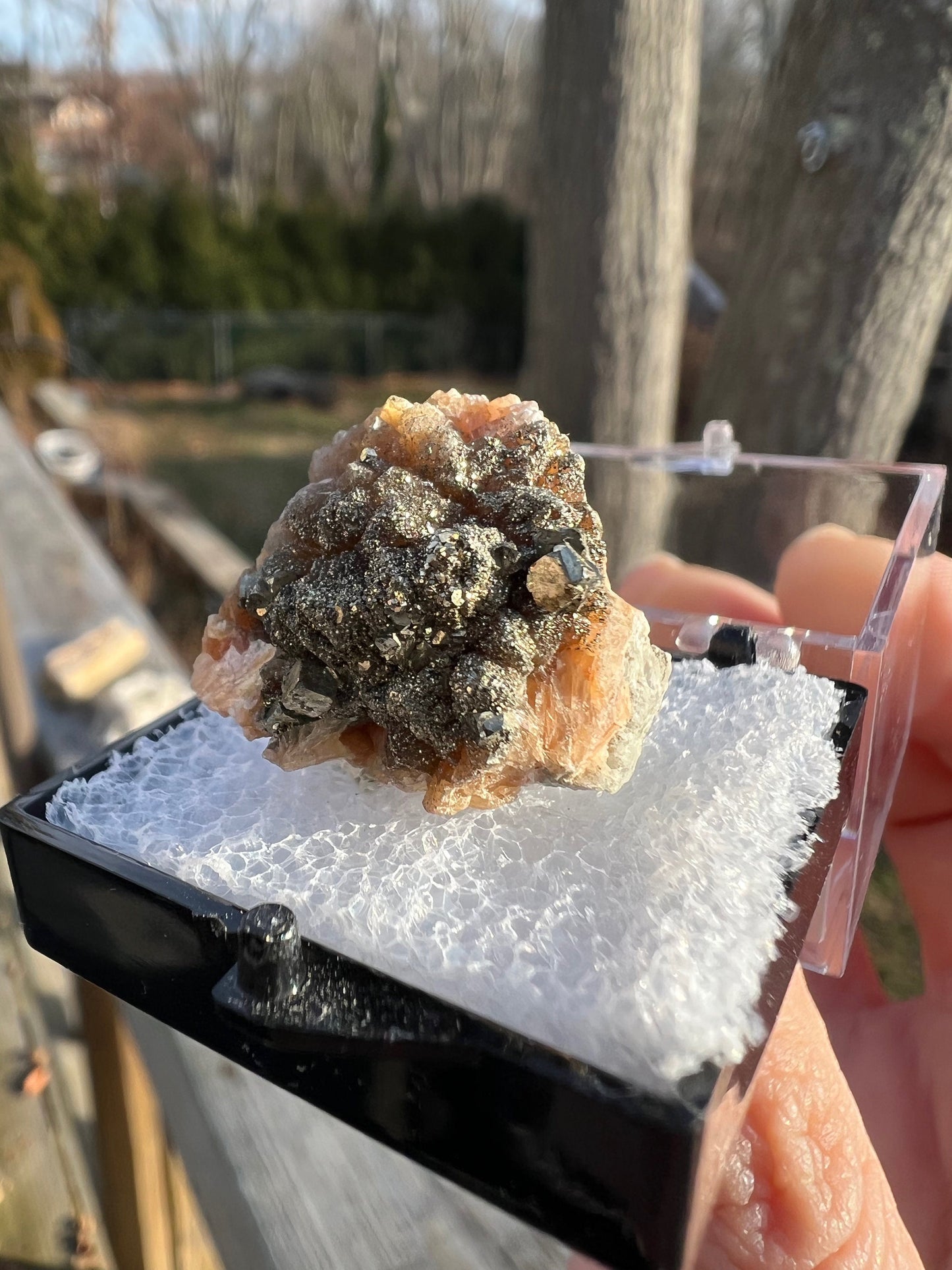 Pyrite on Orange Stilbite from New Jersey USA