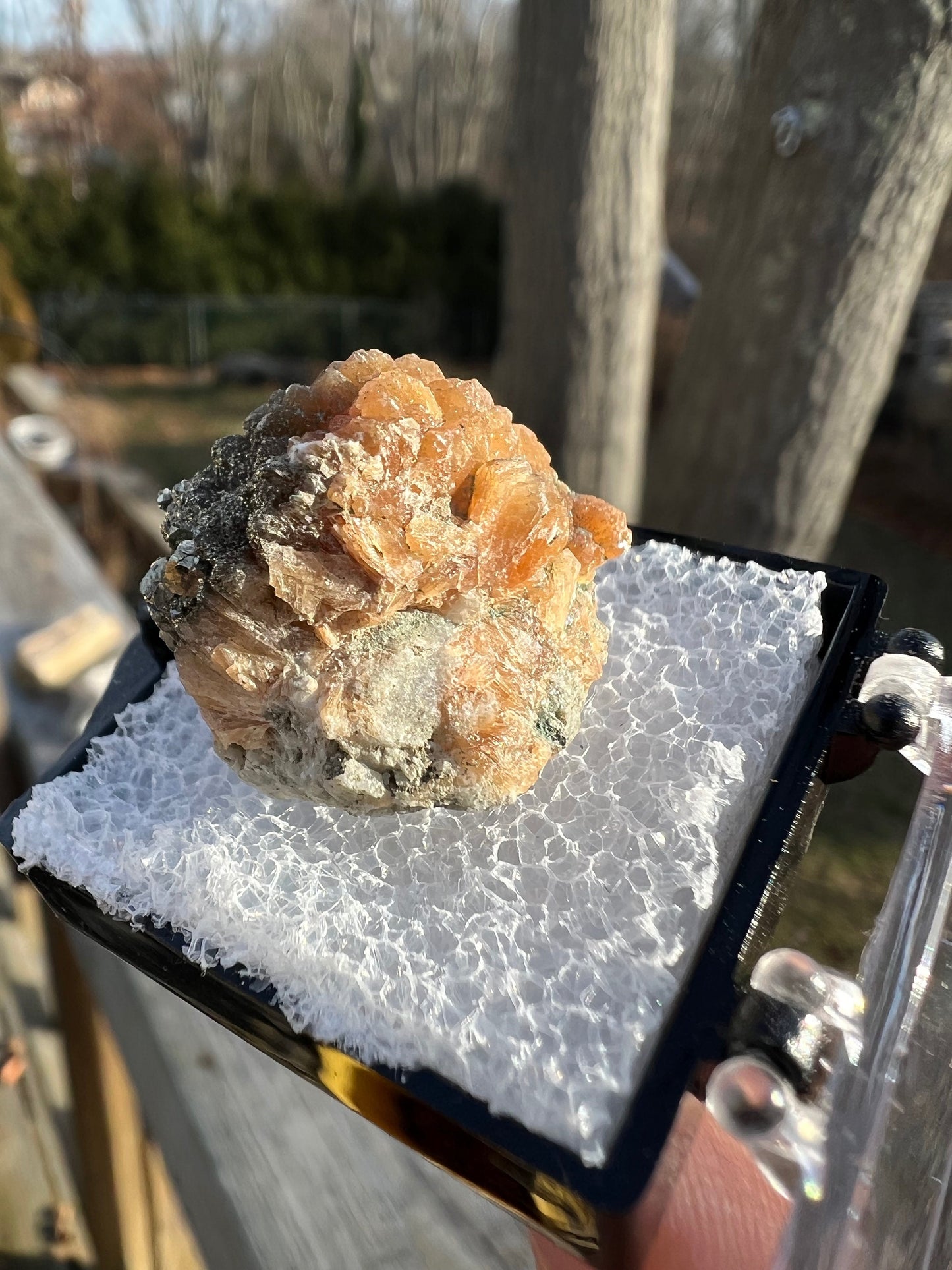 Pyrite on Orange Stilbite from New Jersey USA