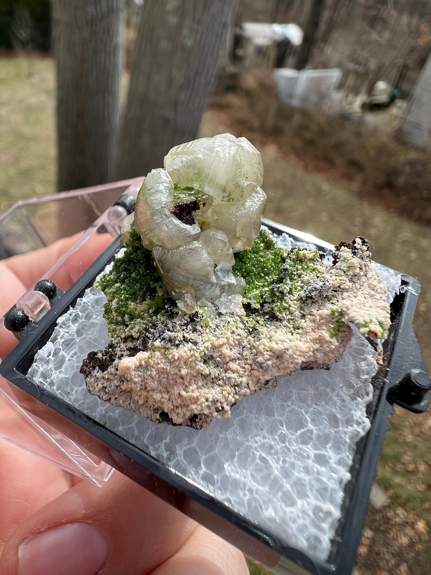 Cerussite with Duftite from Tsumeb Namibia