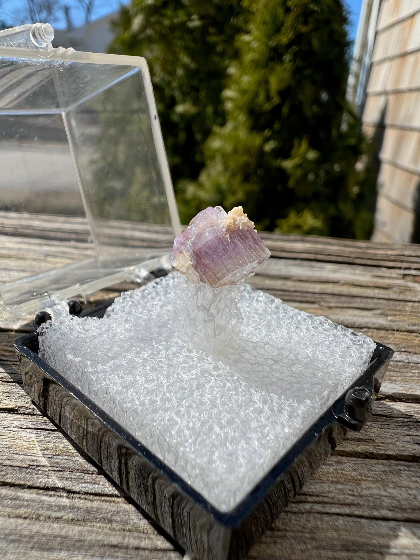 Purple Fluorapatite Cluster from Maine USA