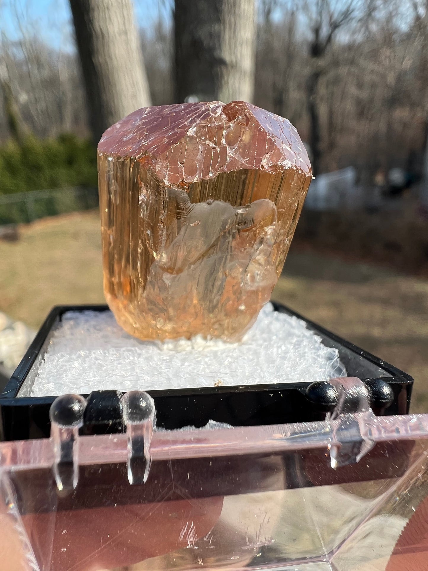 Gem Golden Scapolite Crystal from Tanzania