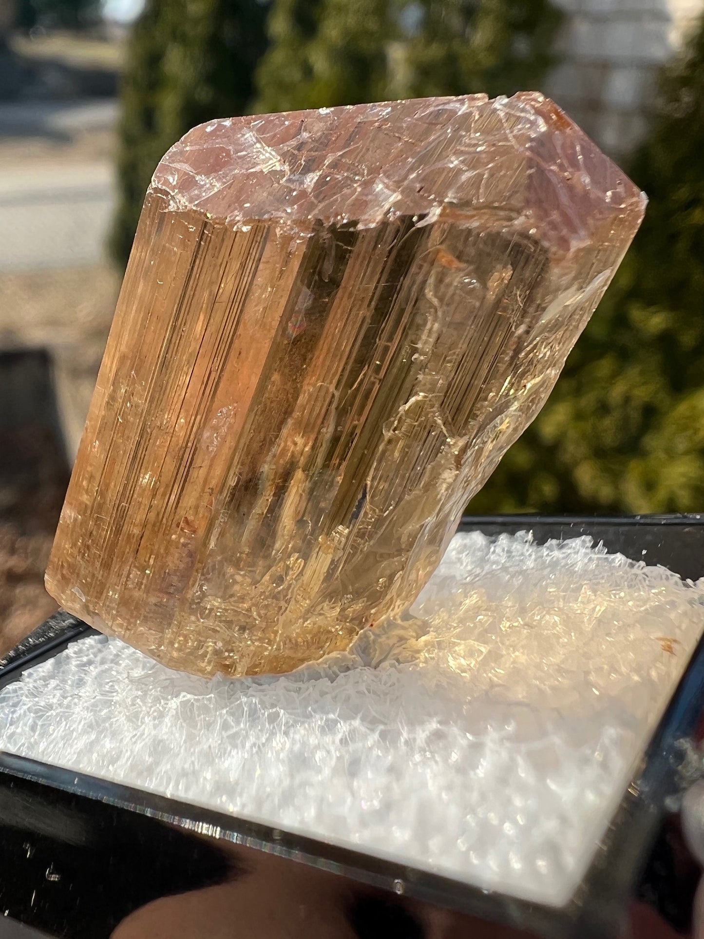 Gem Golden Scapolite Crystal from Tanzania